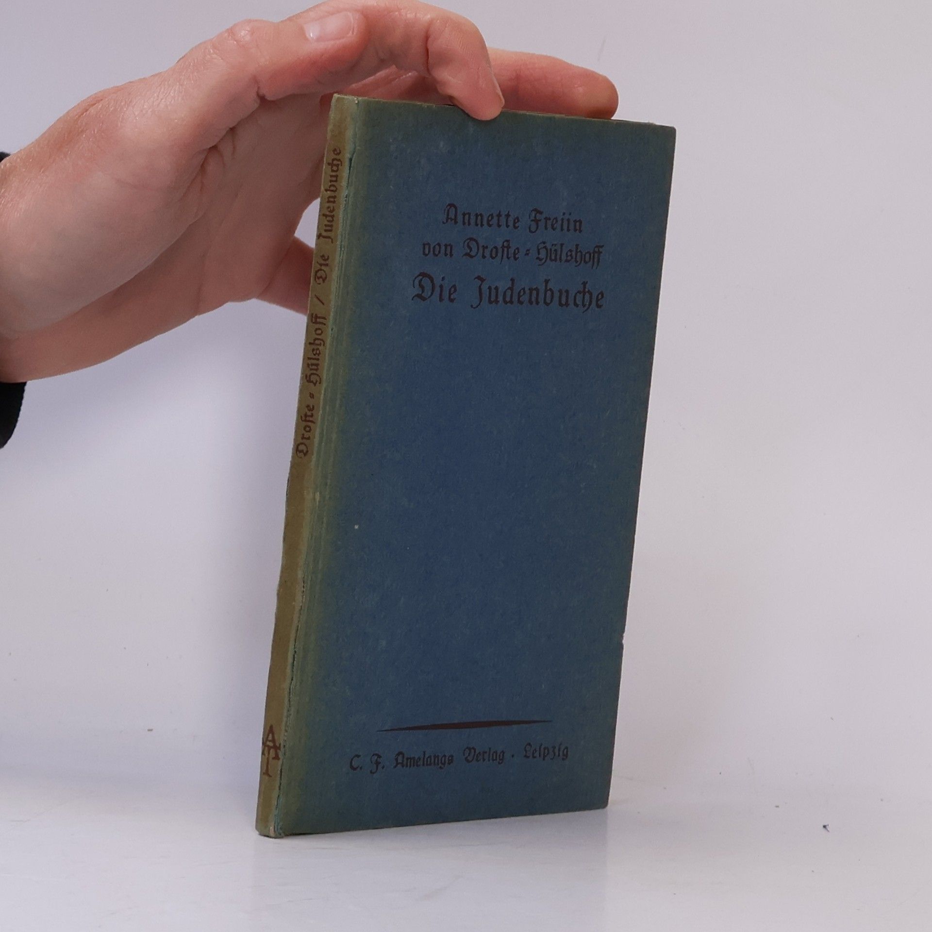 Annette Freiin von Droste-Hülshoff Die Judenbuche