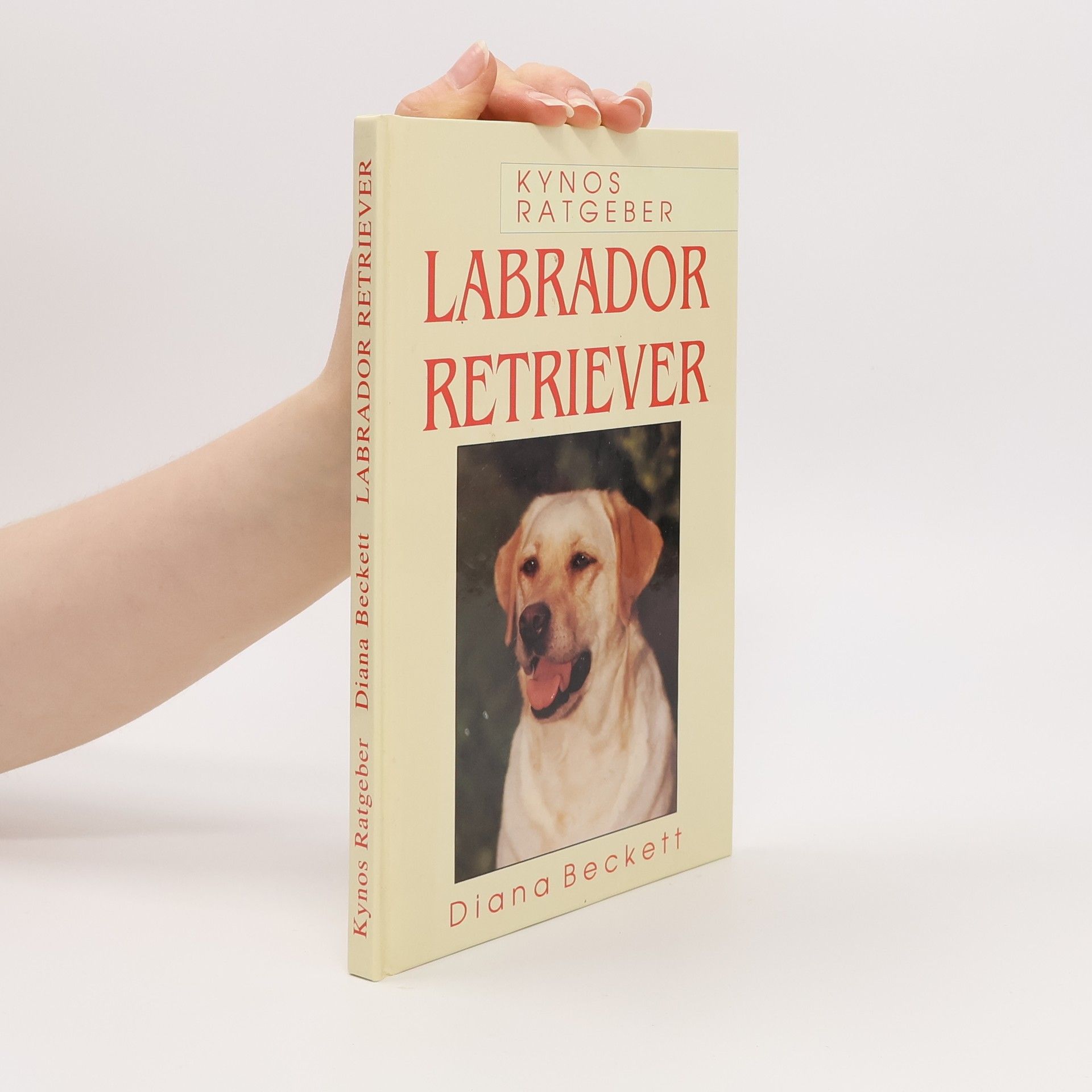 Diana Beckett Labrador Retriever