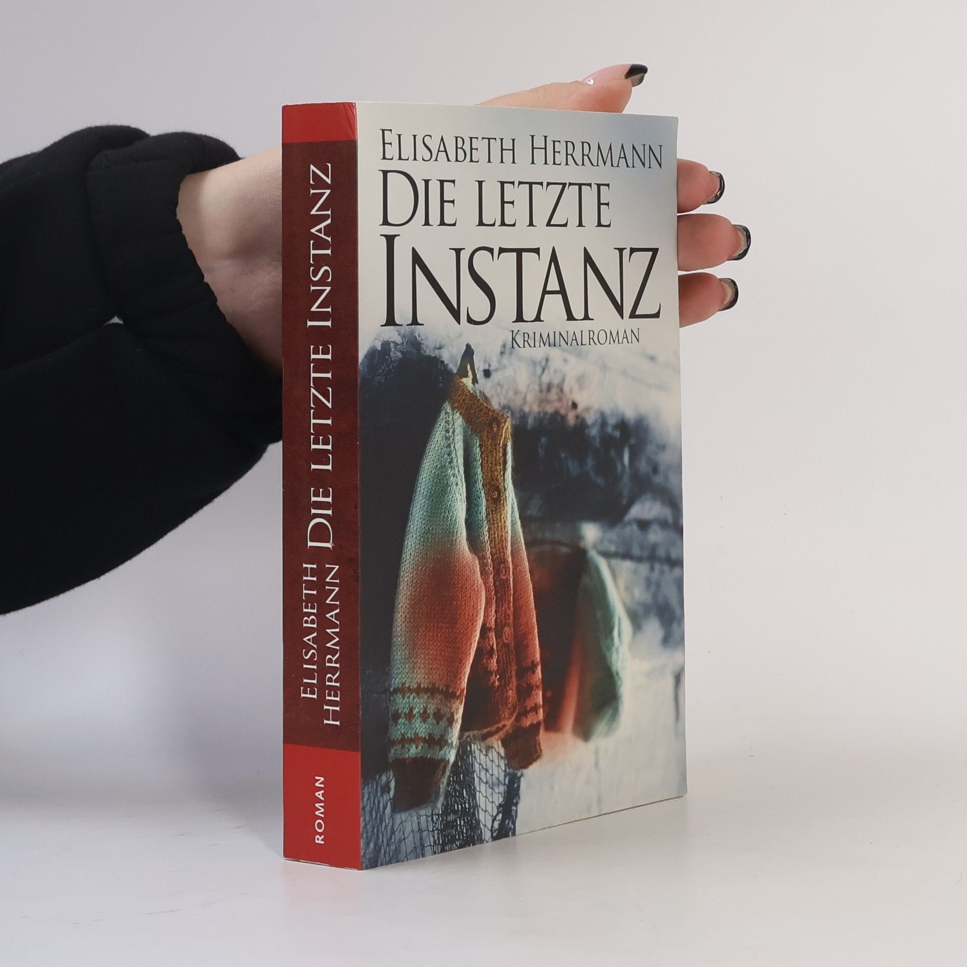 Elisabeth Hermann Die letzte Instanz