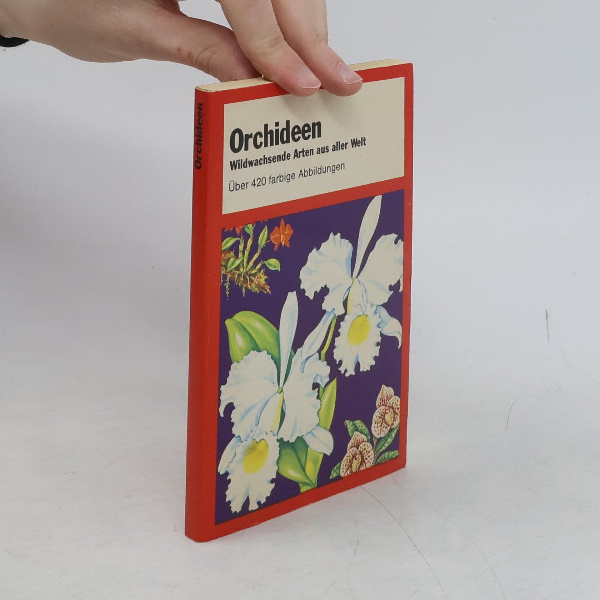 Floyd S. Shuttleworth Orchideen