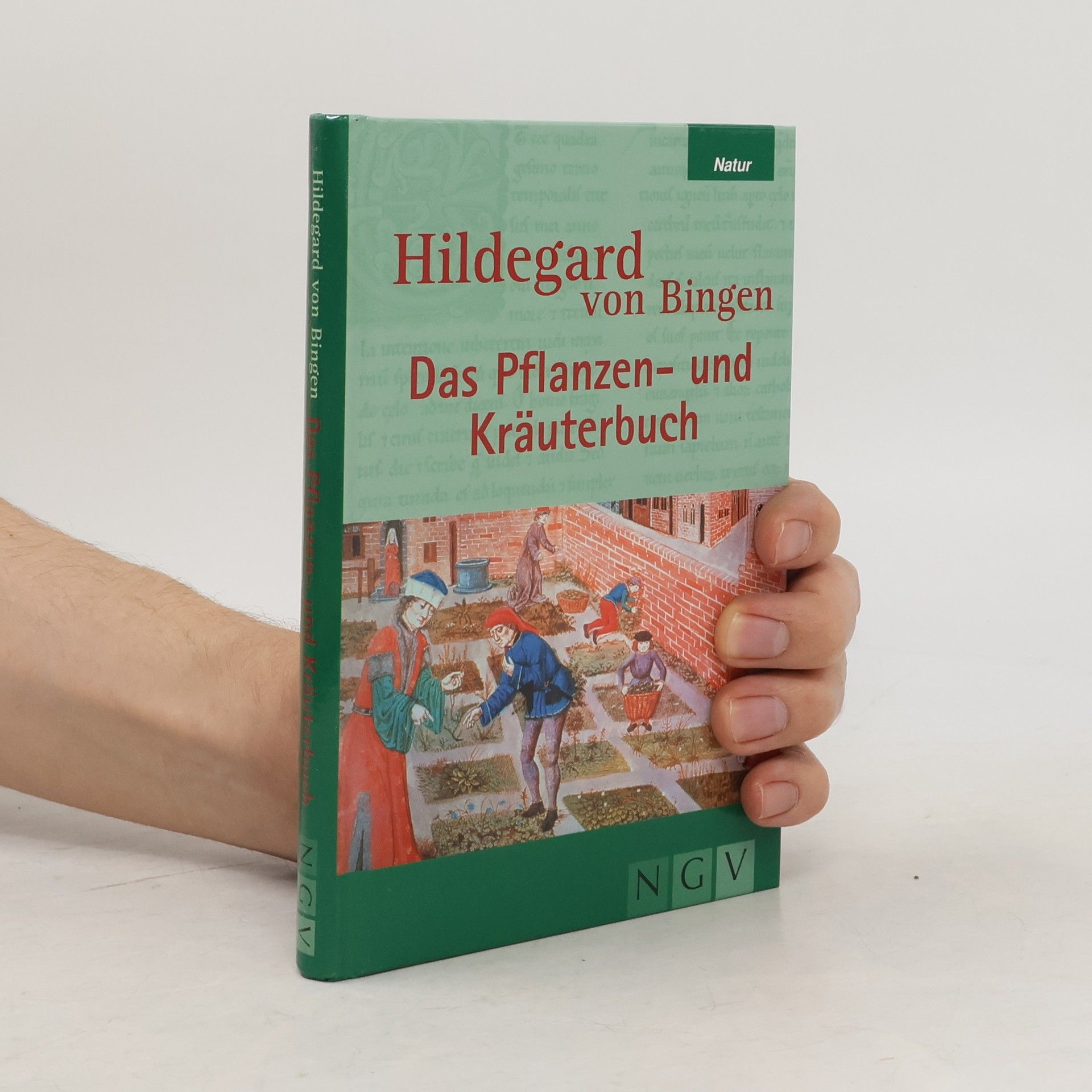 Katja Russhardt Hildegard von Bingen, das Pflanzen- und Kräuterbuch