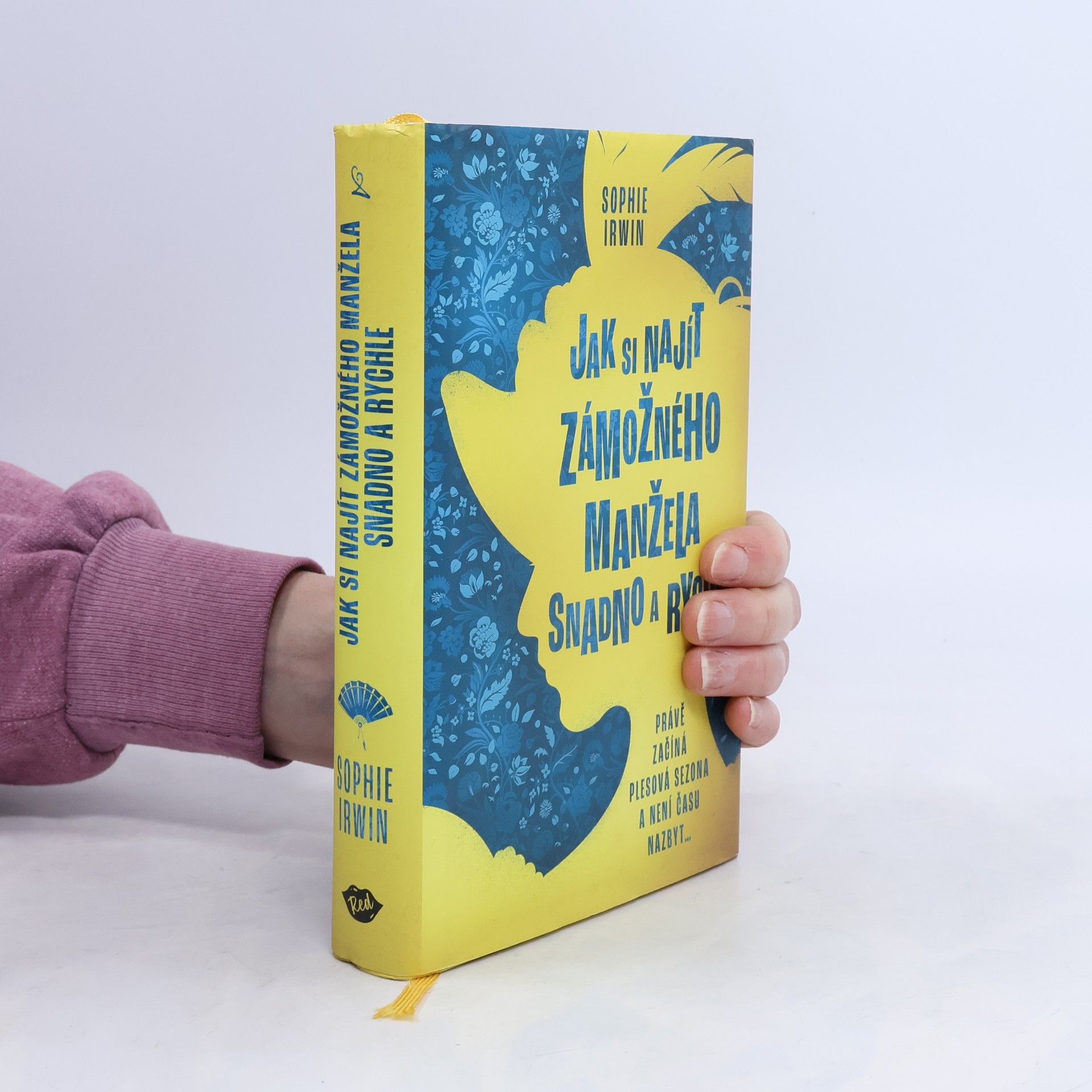 Sophie Irwin Jak si najít zámožného manžela snadno a rychle