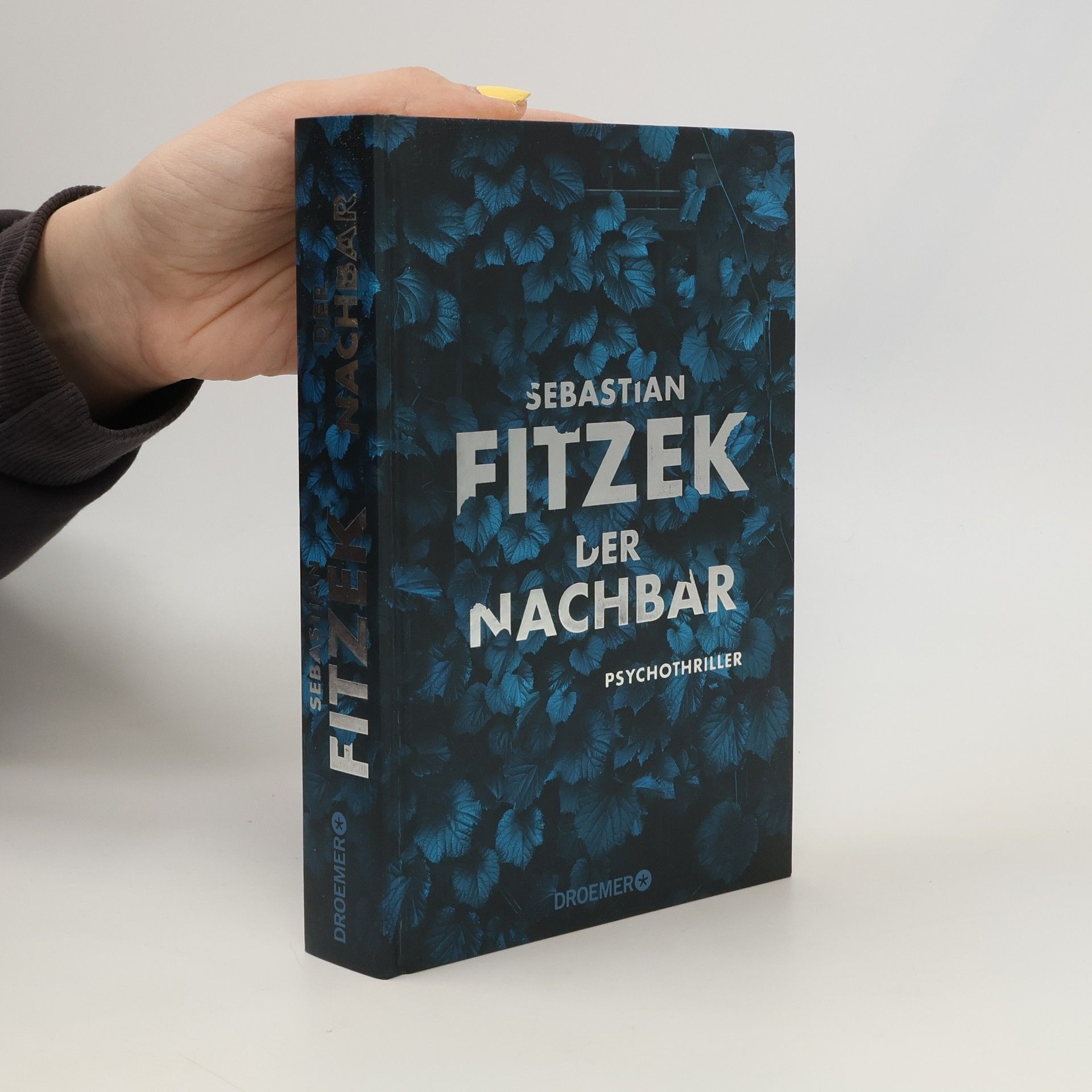 Sebastian Fitzek Der Nachbar