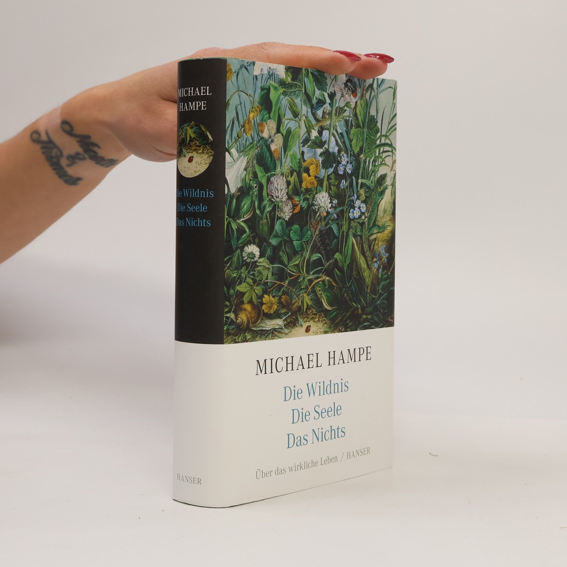 Michael Hampe Der Wildnis. Die Seele. Das Nichts