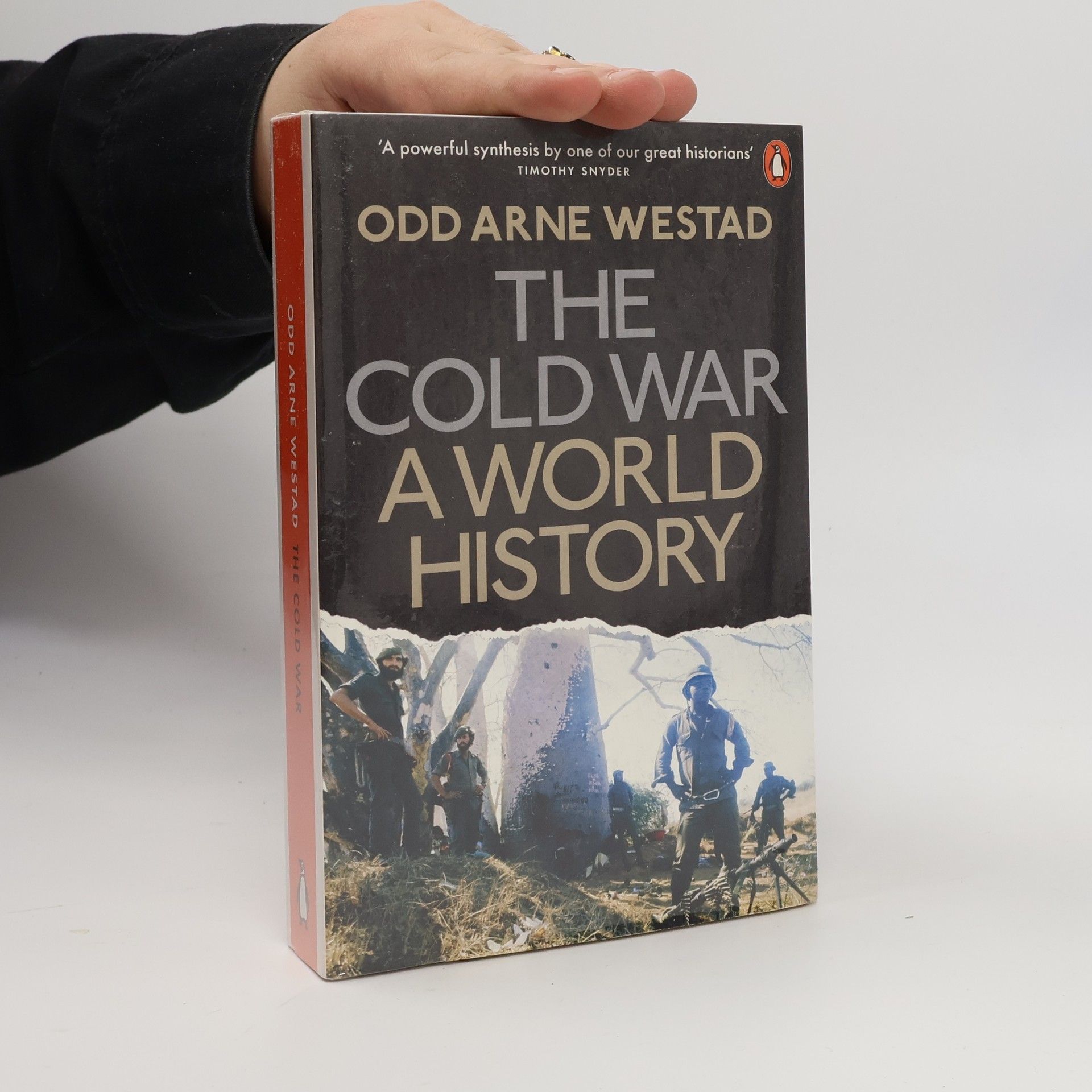 Odd Arne Westad The Cold War
