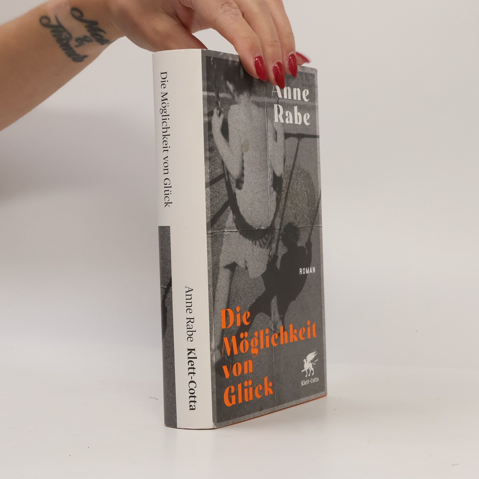 Anne Rabe Die Möglichkeit von Glück