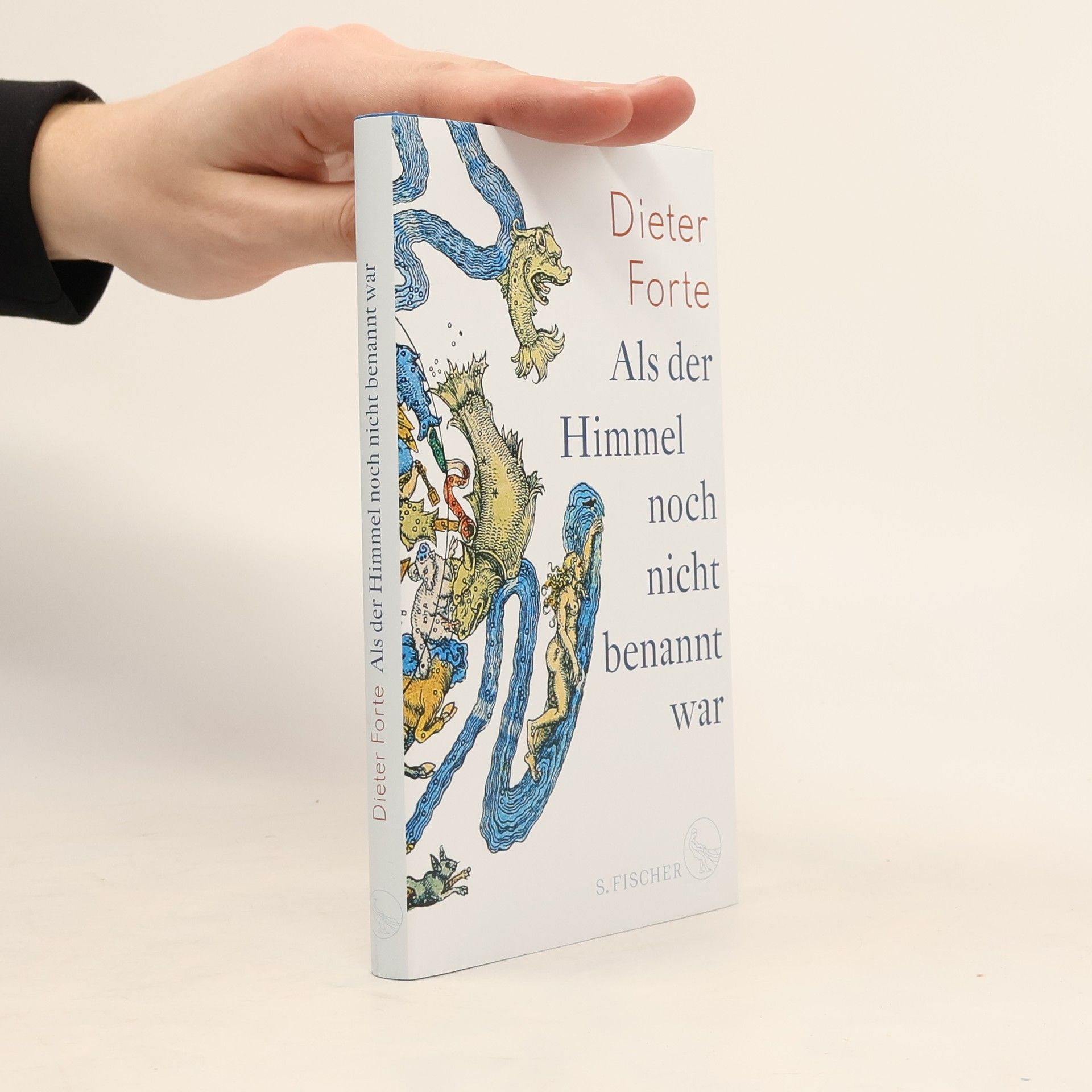 Dieter Forte Als der Himmel noch nicht benannt war