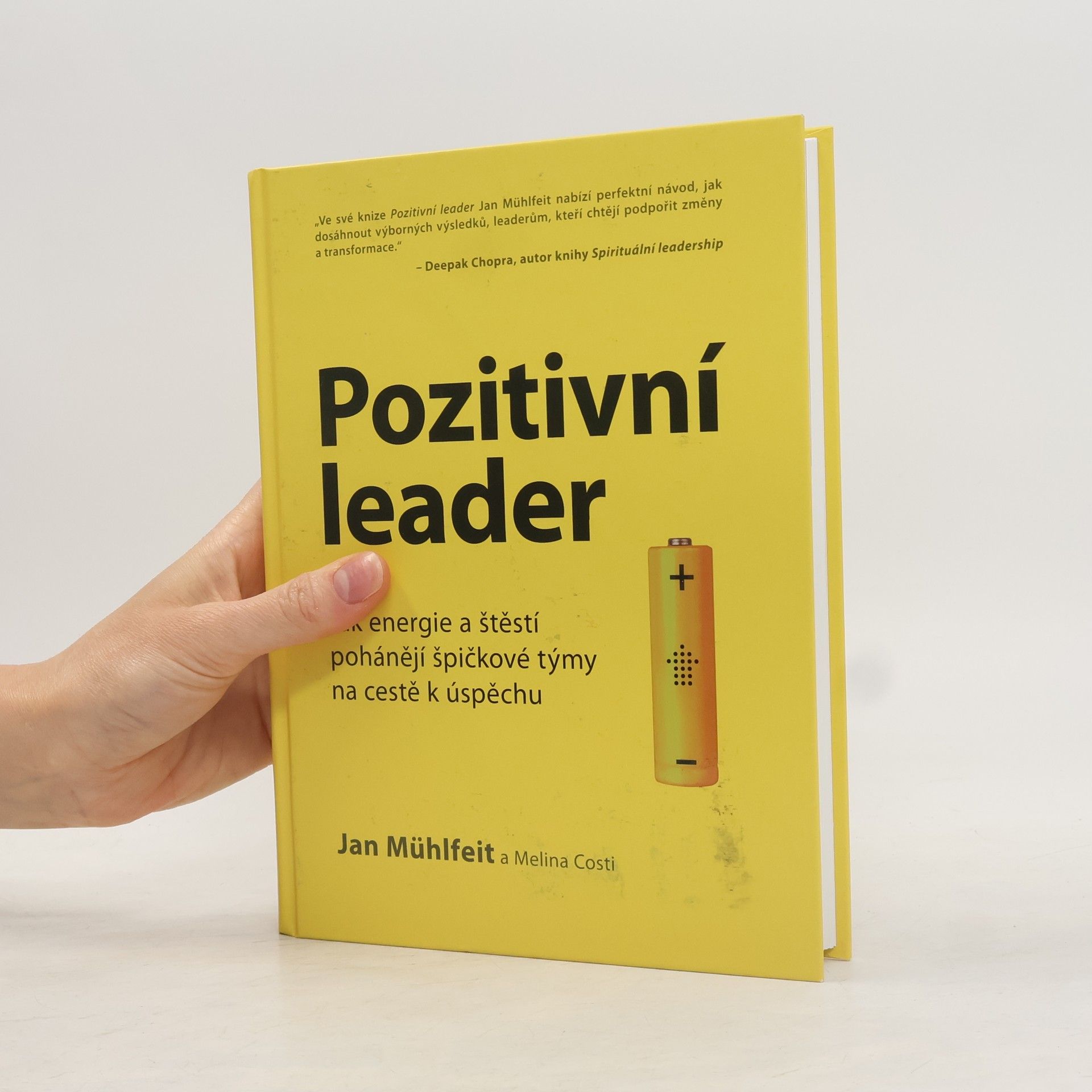 Jan Mühlfeit Pozitivní leader