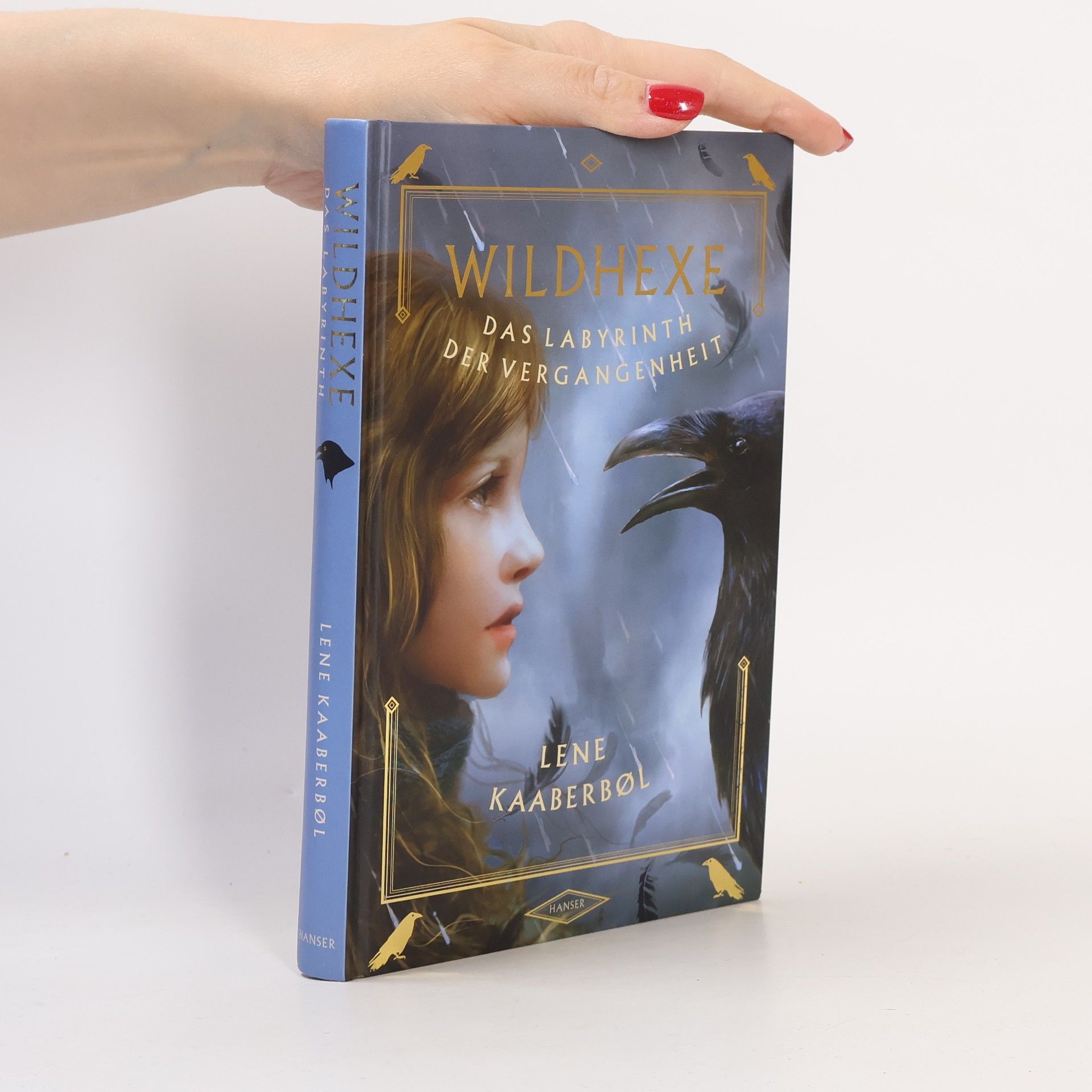 Wildhexe. Das Labyrinth der Vergangenheit