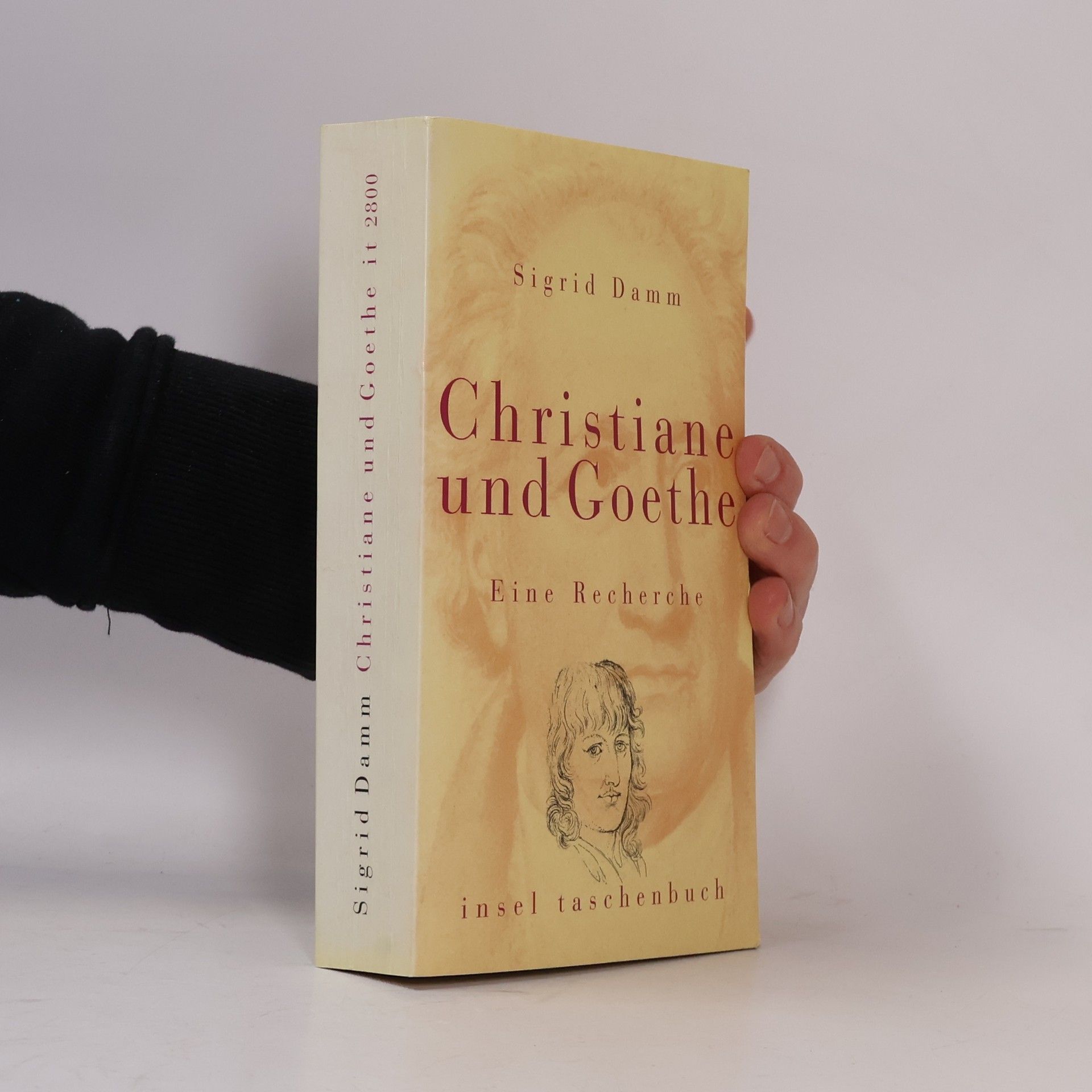 Sigrid Damm Christiane und Goethe
