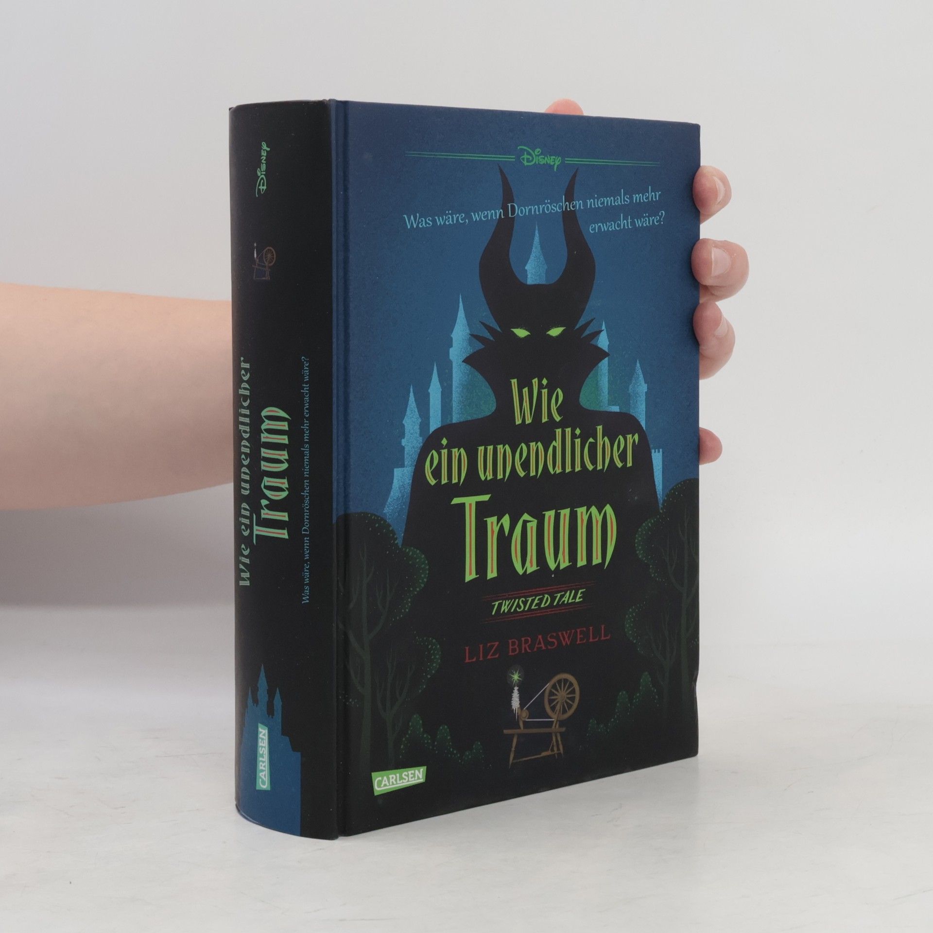 Elizabeth J. Braswell Wie ein Unendlicher Traum
