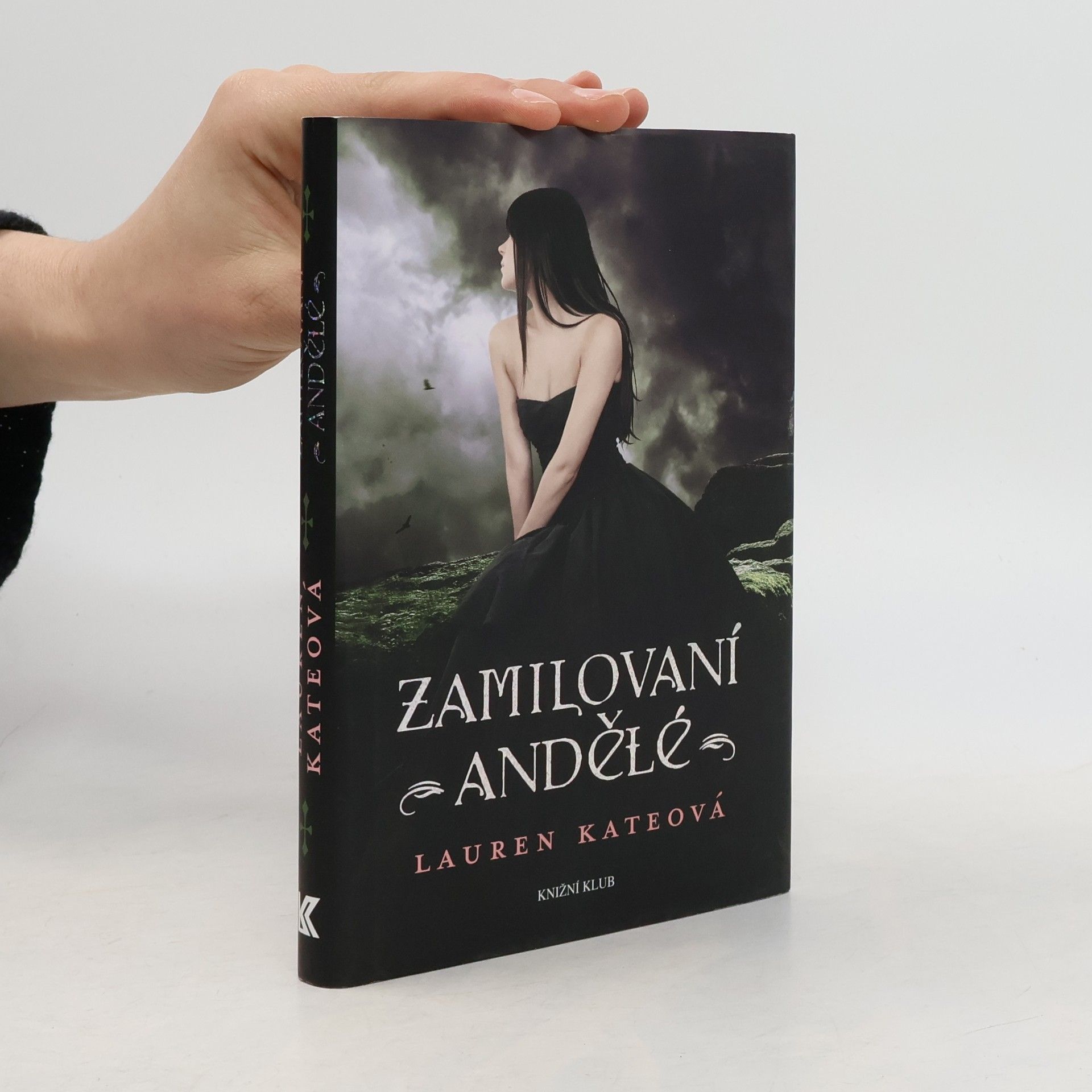 Lauren Kate Zamilovaní andělé