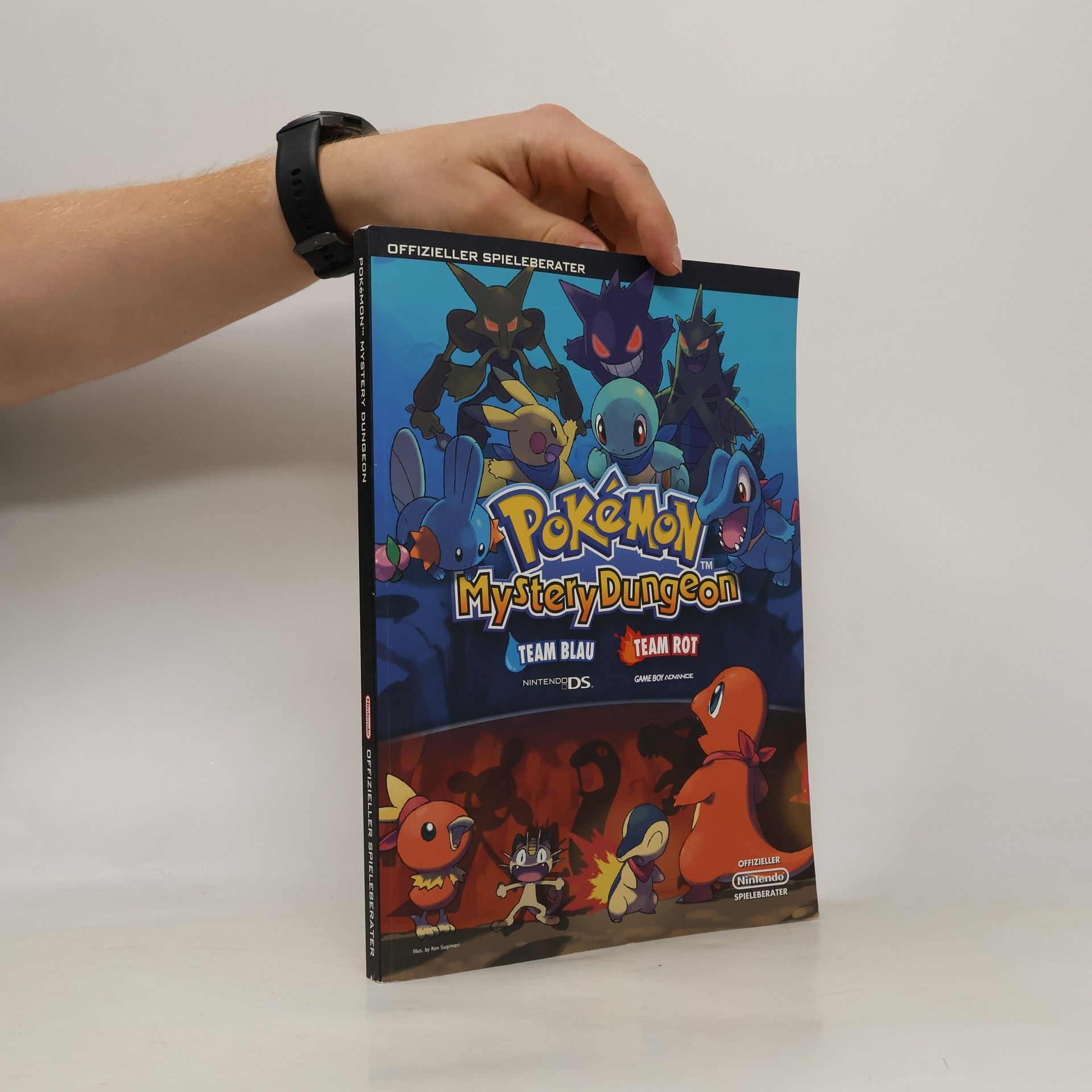 Autores varios Pokémon Mystery Dungeon. Team Blau, Team Rot