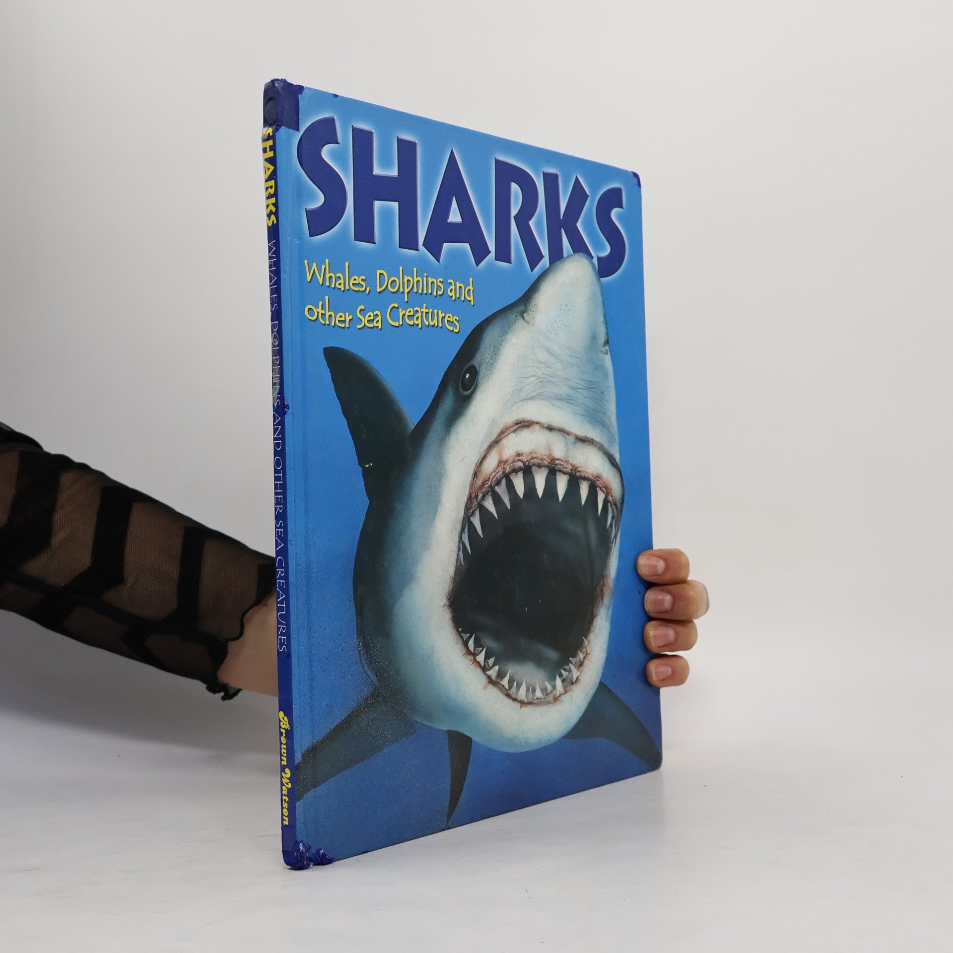 Colin Clark Sharks, Whales and Dolphins