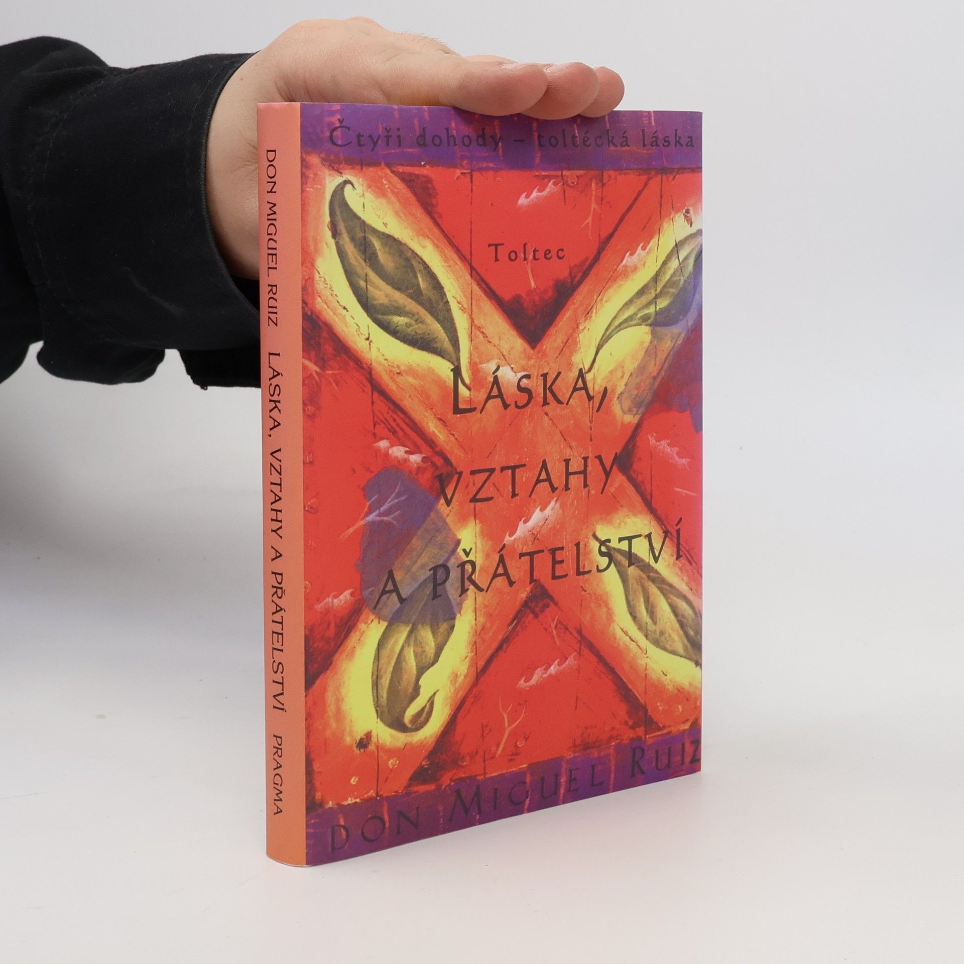 Don Miguel Ruiz Láska, vztahy a přátelství