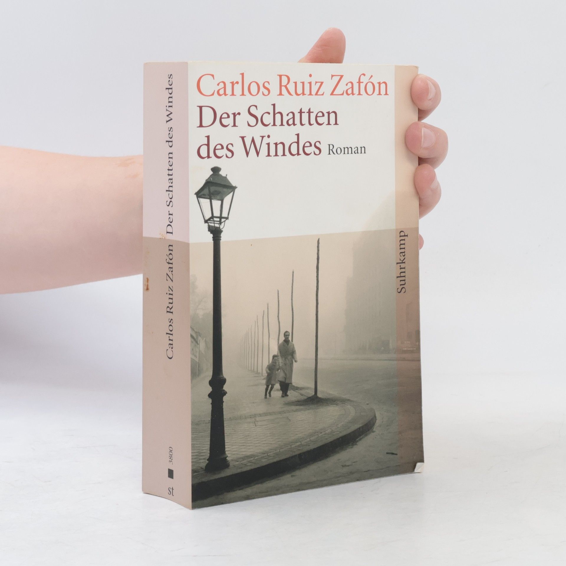 Carlos Ruiz Zafón Der Schatten des Windes