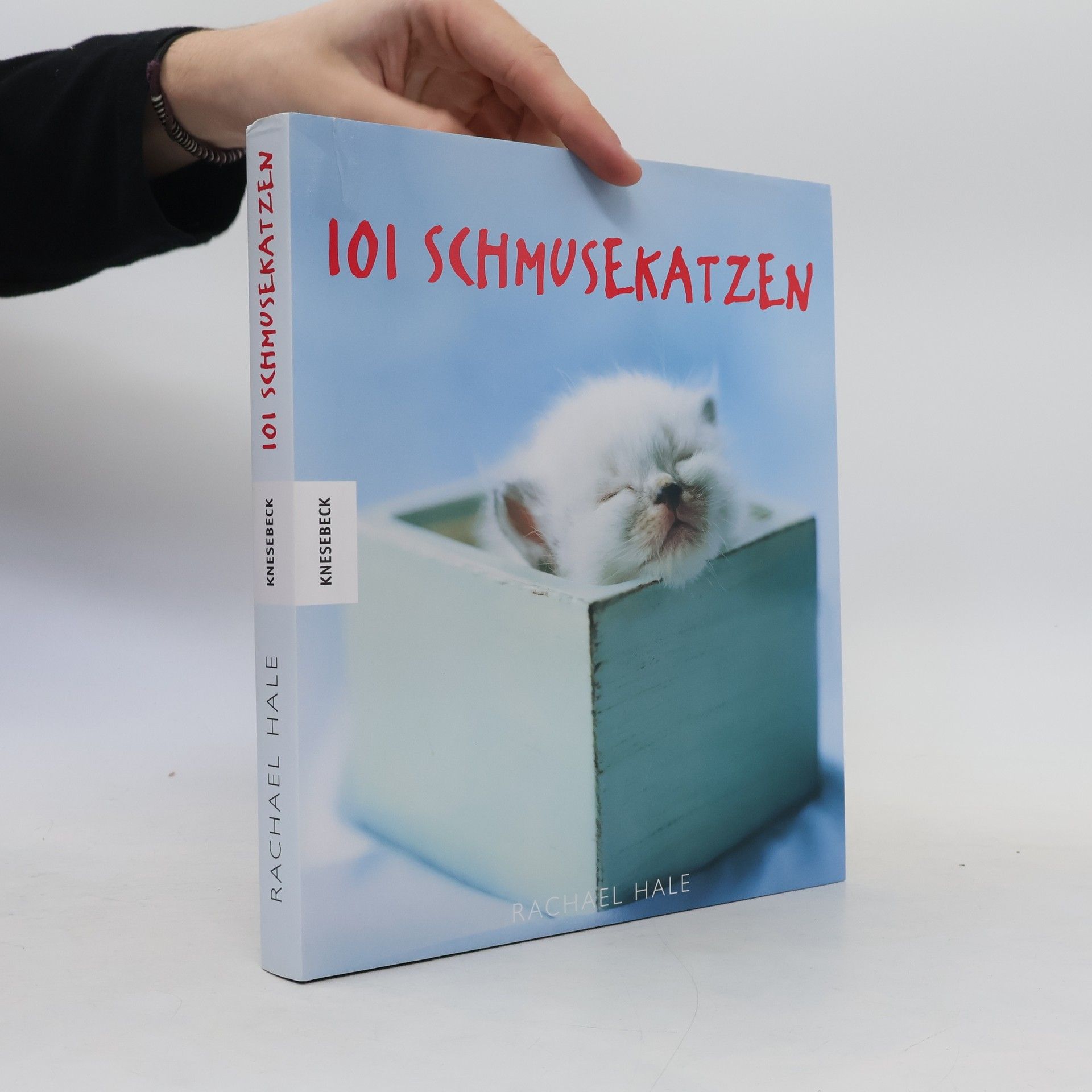 Rachael McKenna 101 Schmusekatzen