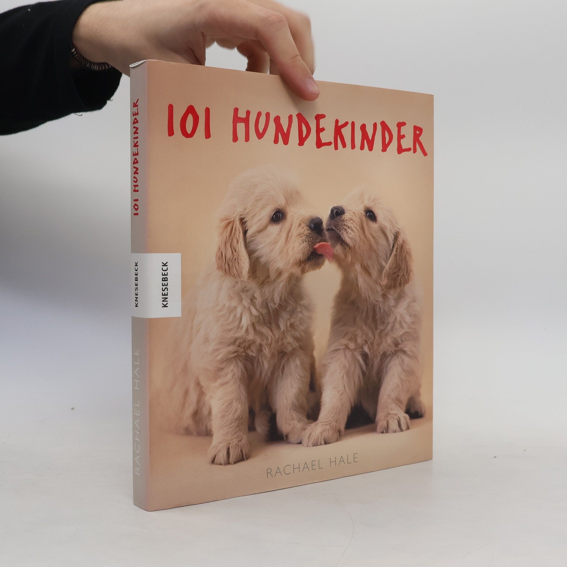 Rachael McKenna 101 Hundekinder