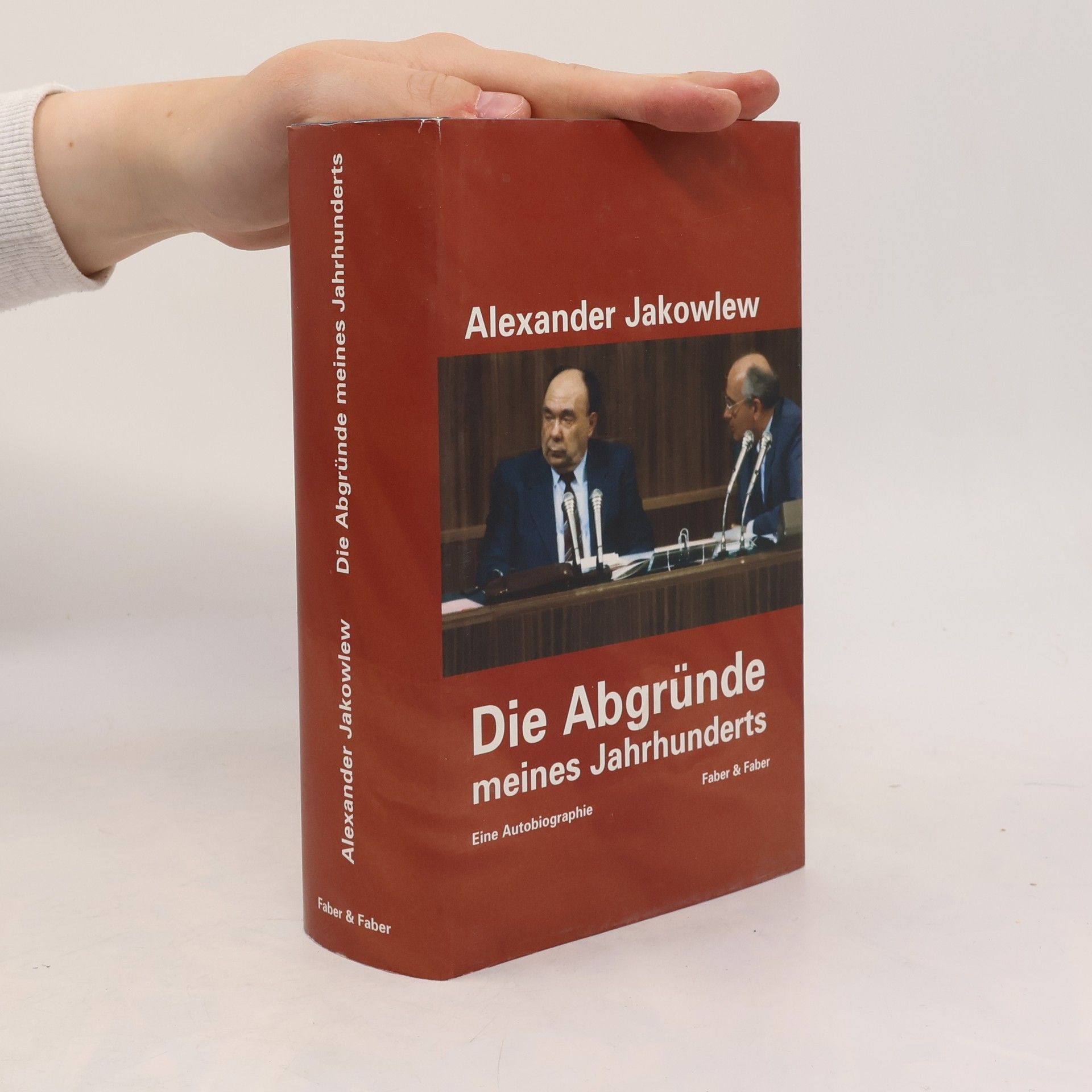 Die Abgründe meines Jahrhunderts