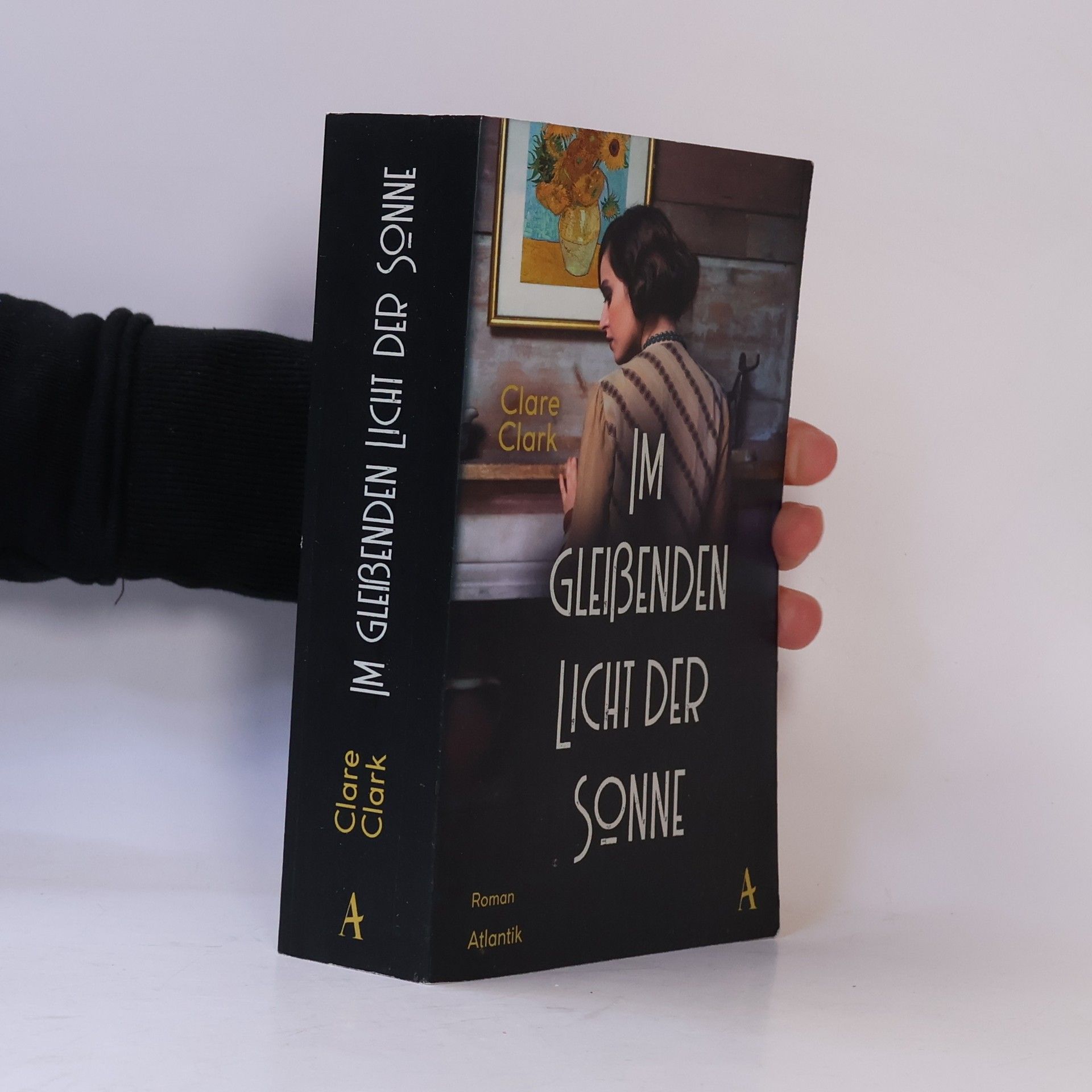 Clare Clark Im gleißenden Licht der Sonne