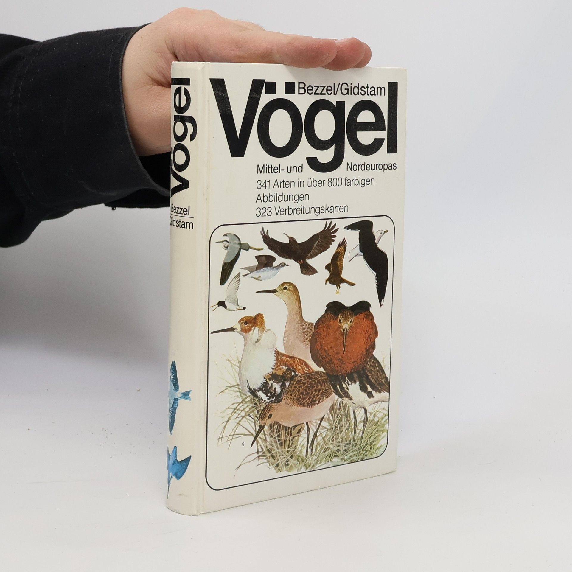Einhard Bezzel Vögel