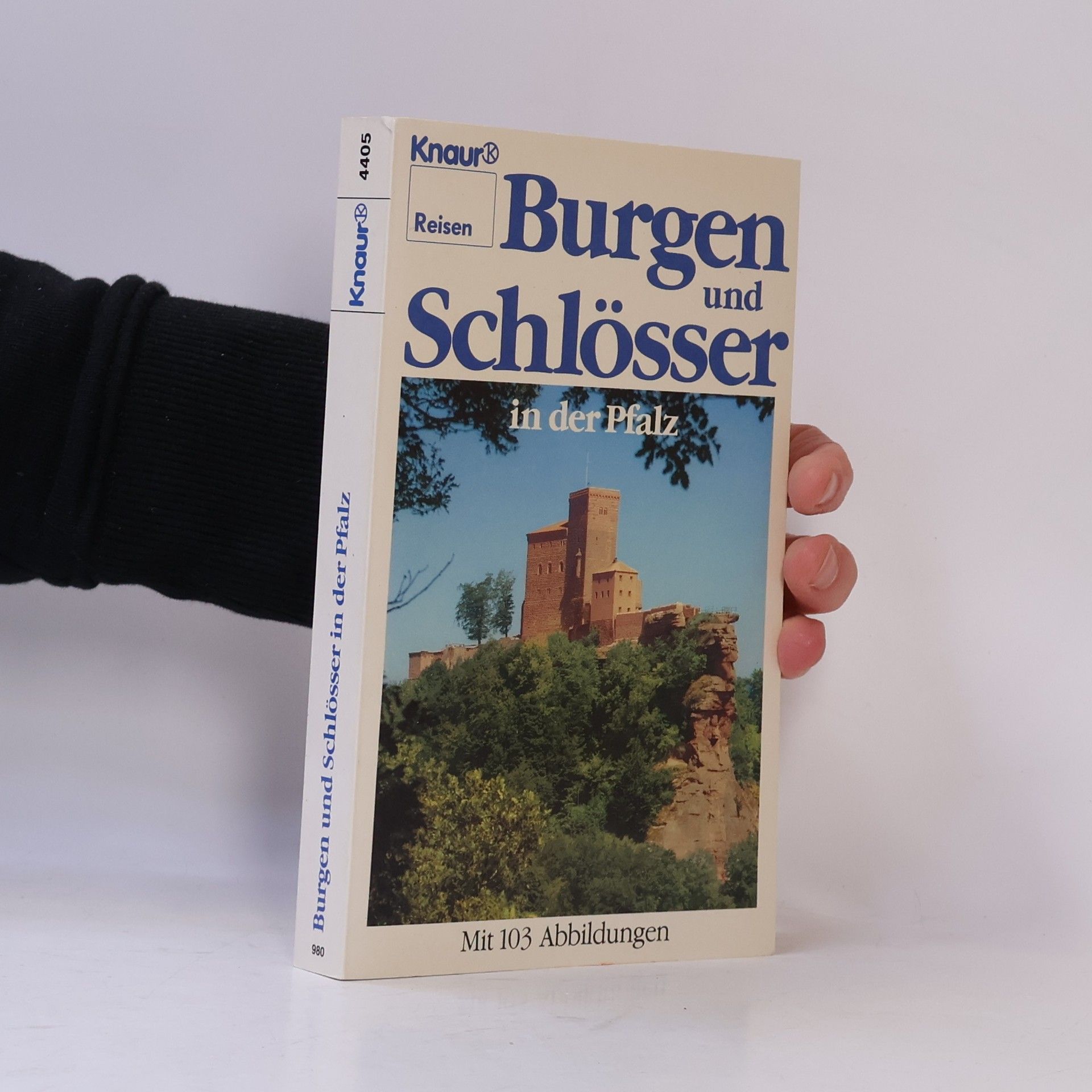 Günter Stein Burgen und Schlösser in der Pfalz