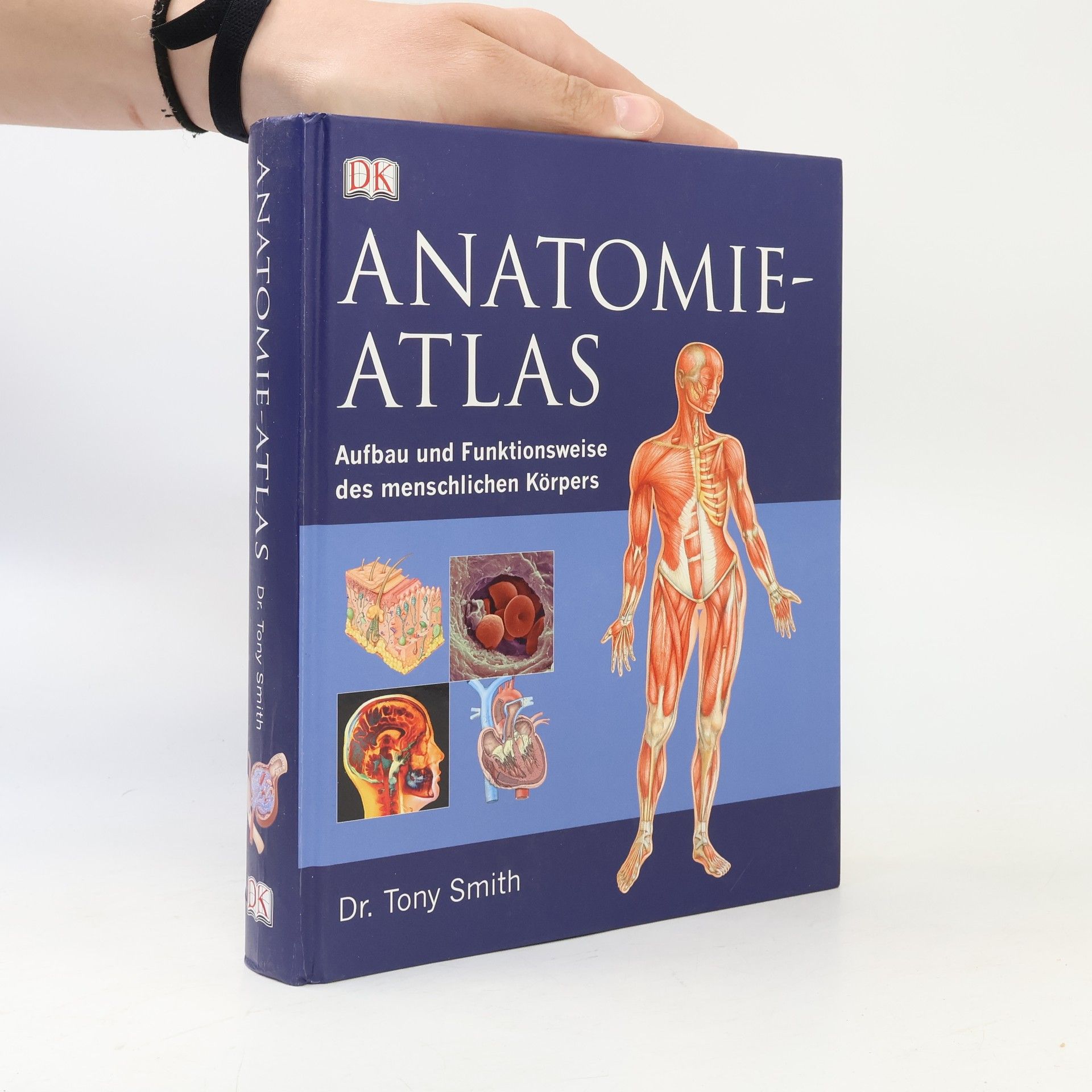 Anatomie-Atlas
