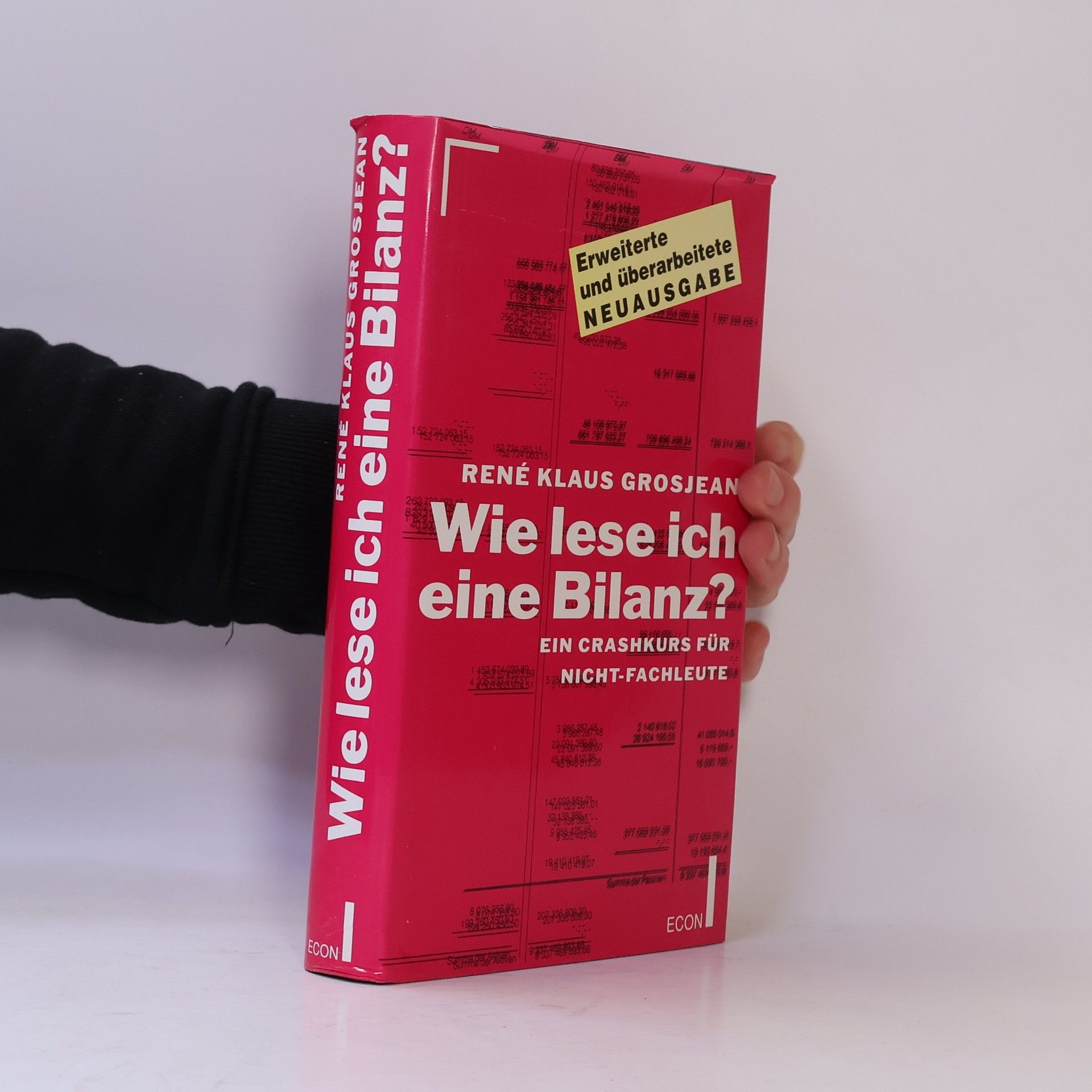 René Klaus Grosjean Wie lese ich eine Bilanz?