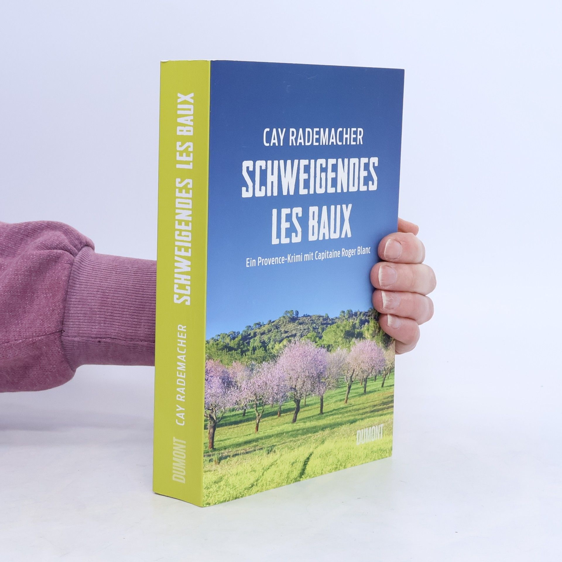 Cay Rademacher Schweigendes Les Baux