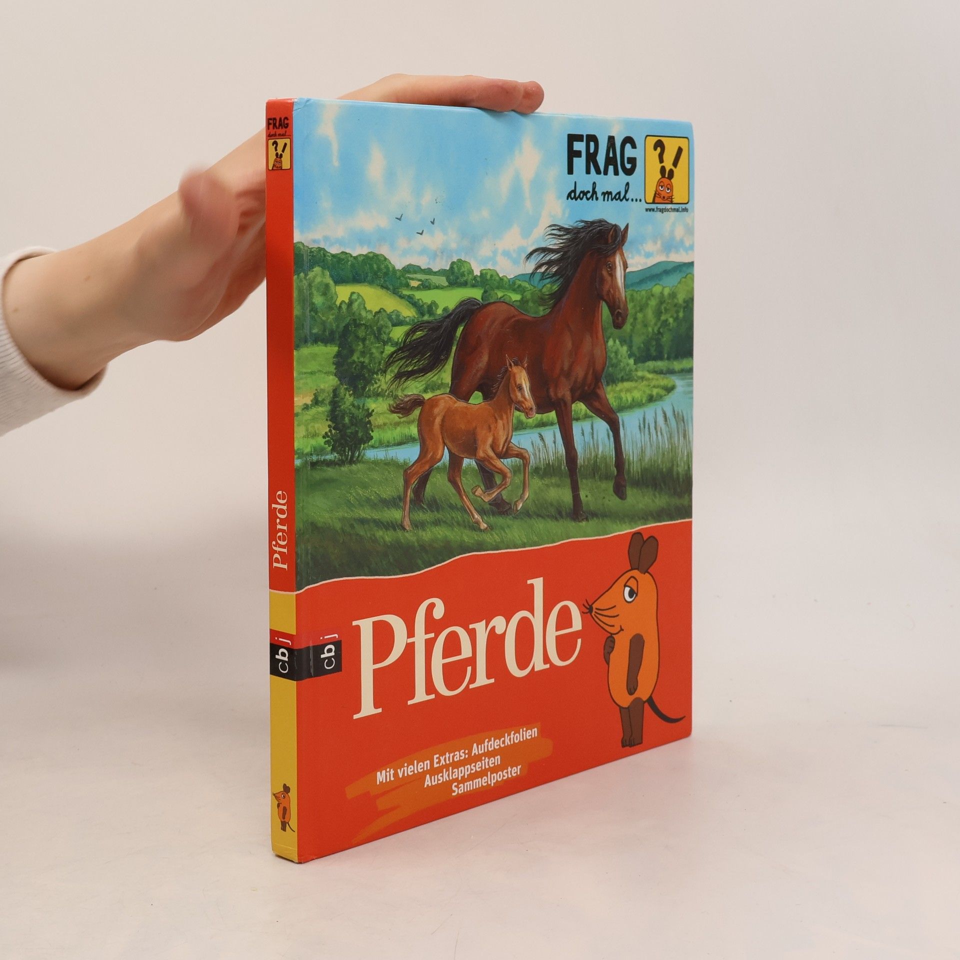 Autorenkollektiv Pferde