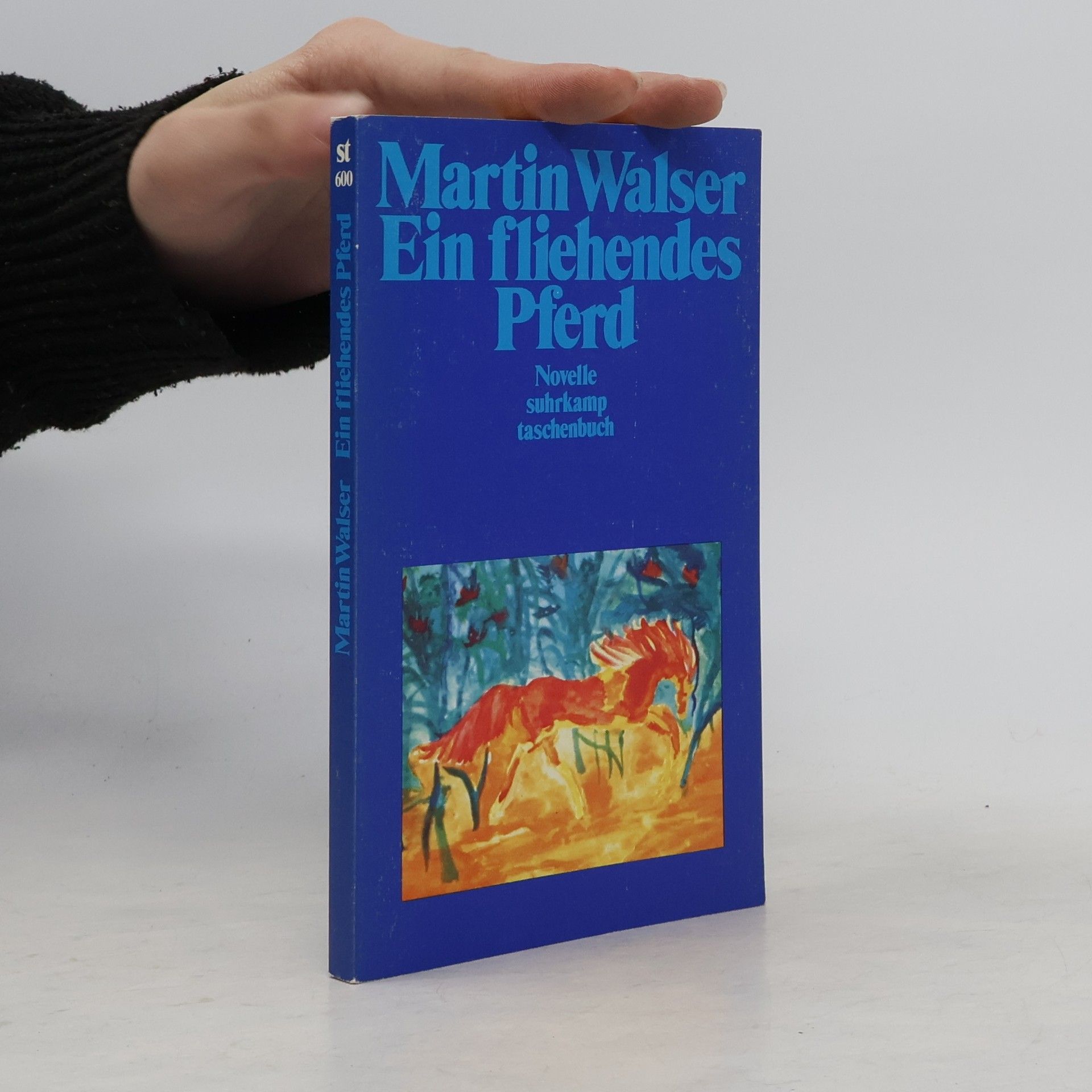Martin Walser Ein fliehendes Pferd
