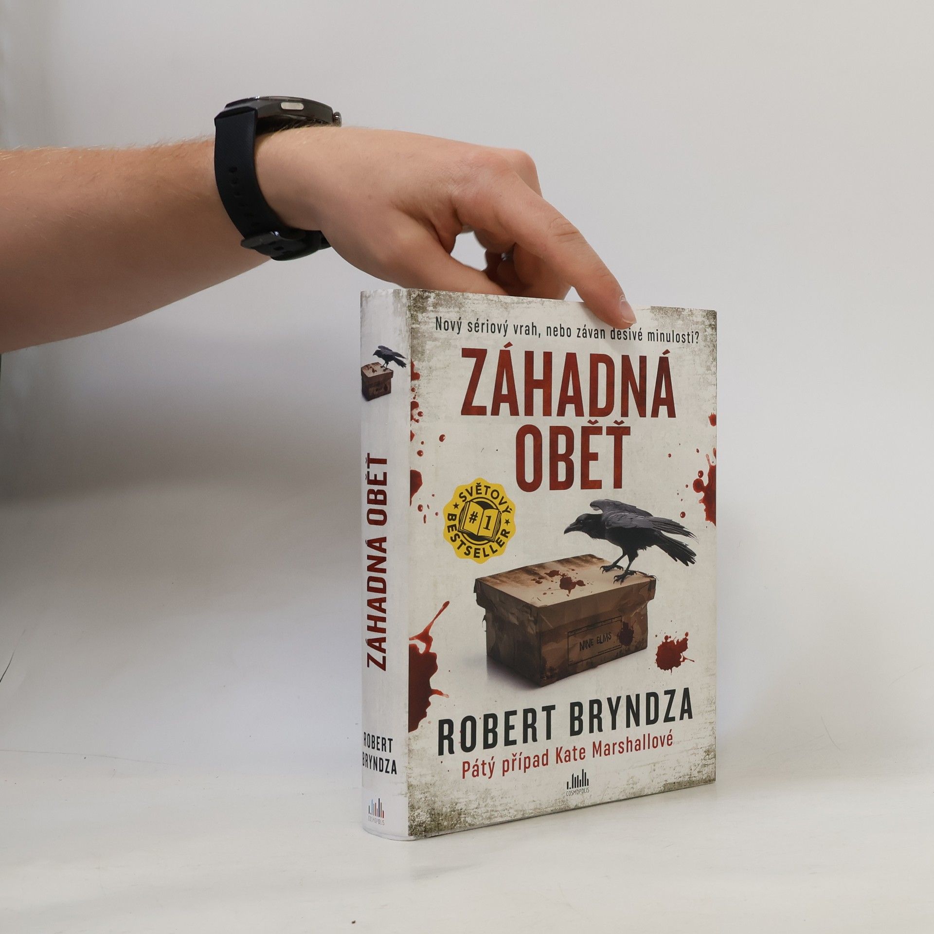 Robert Bryndza Záhadná oběť