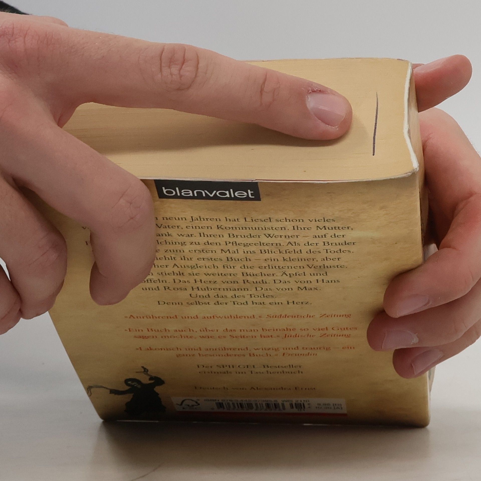 Markus Zusak Die Bücherdiebin: Roman