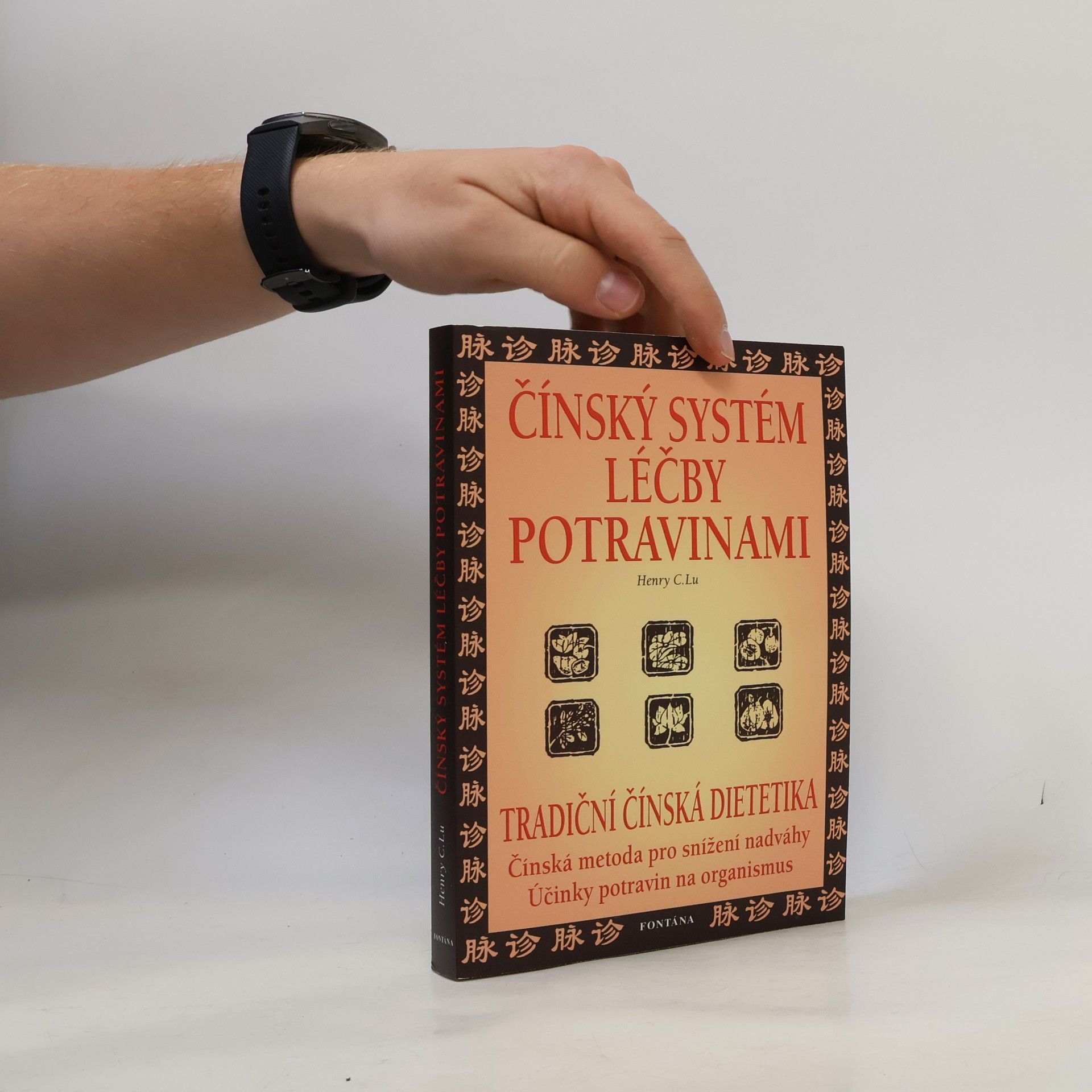 Henry C. Lu Čínský systém léčby potravinami: Prevence a léčení