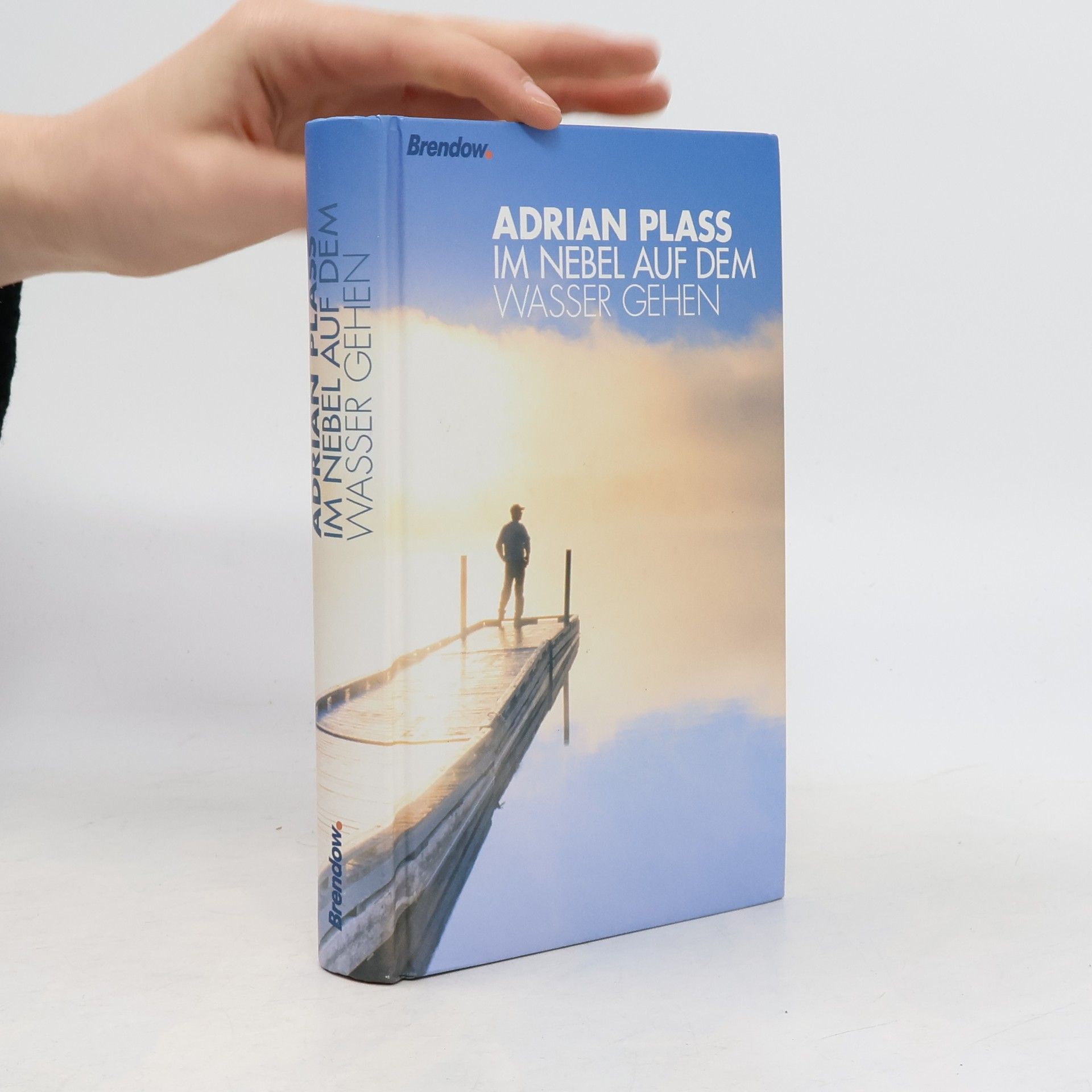 Adrian Plass Im Nebel auf dem Wasser gehen