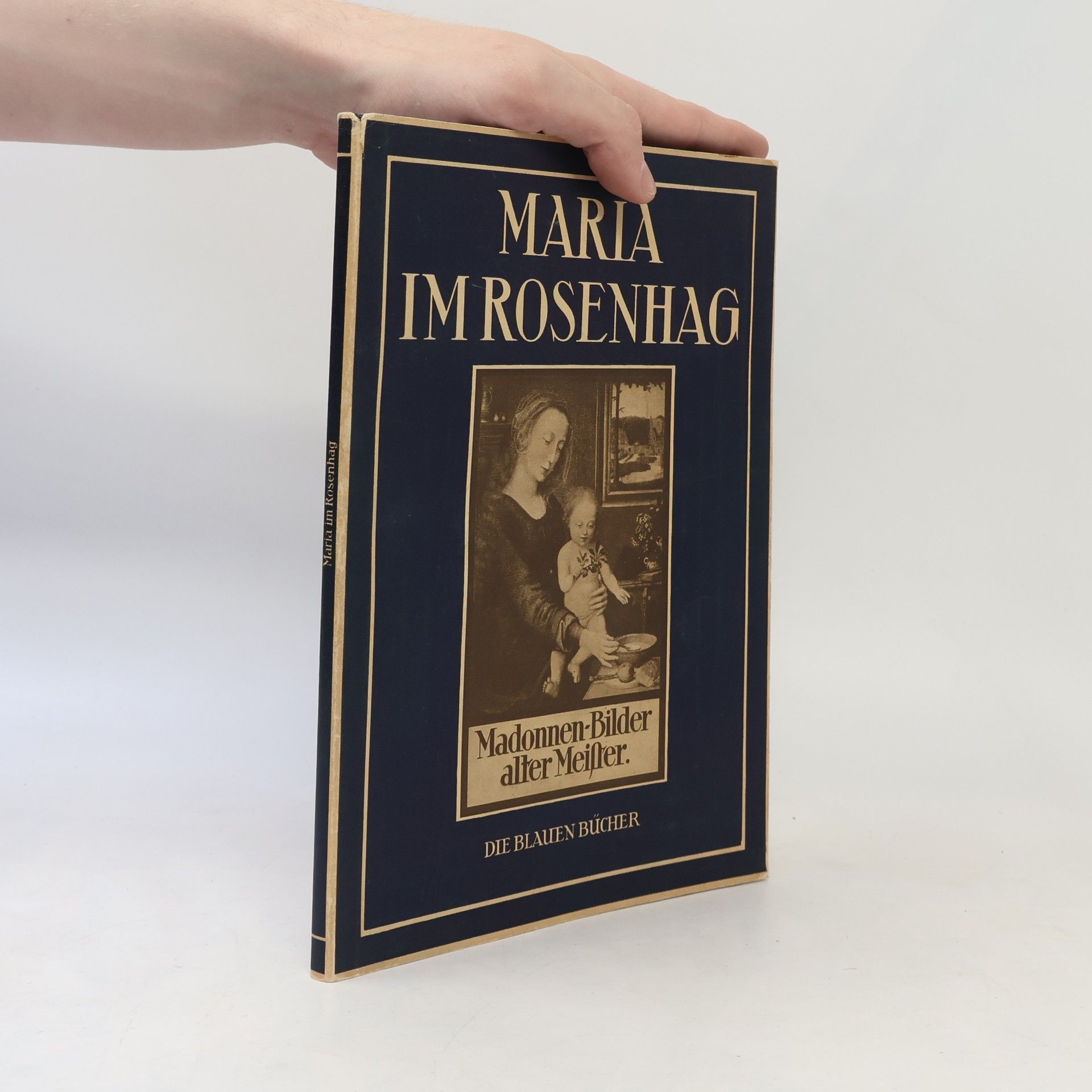 Various authors Maria im Rosenhag