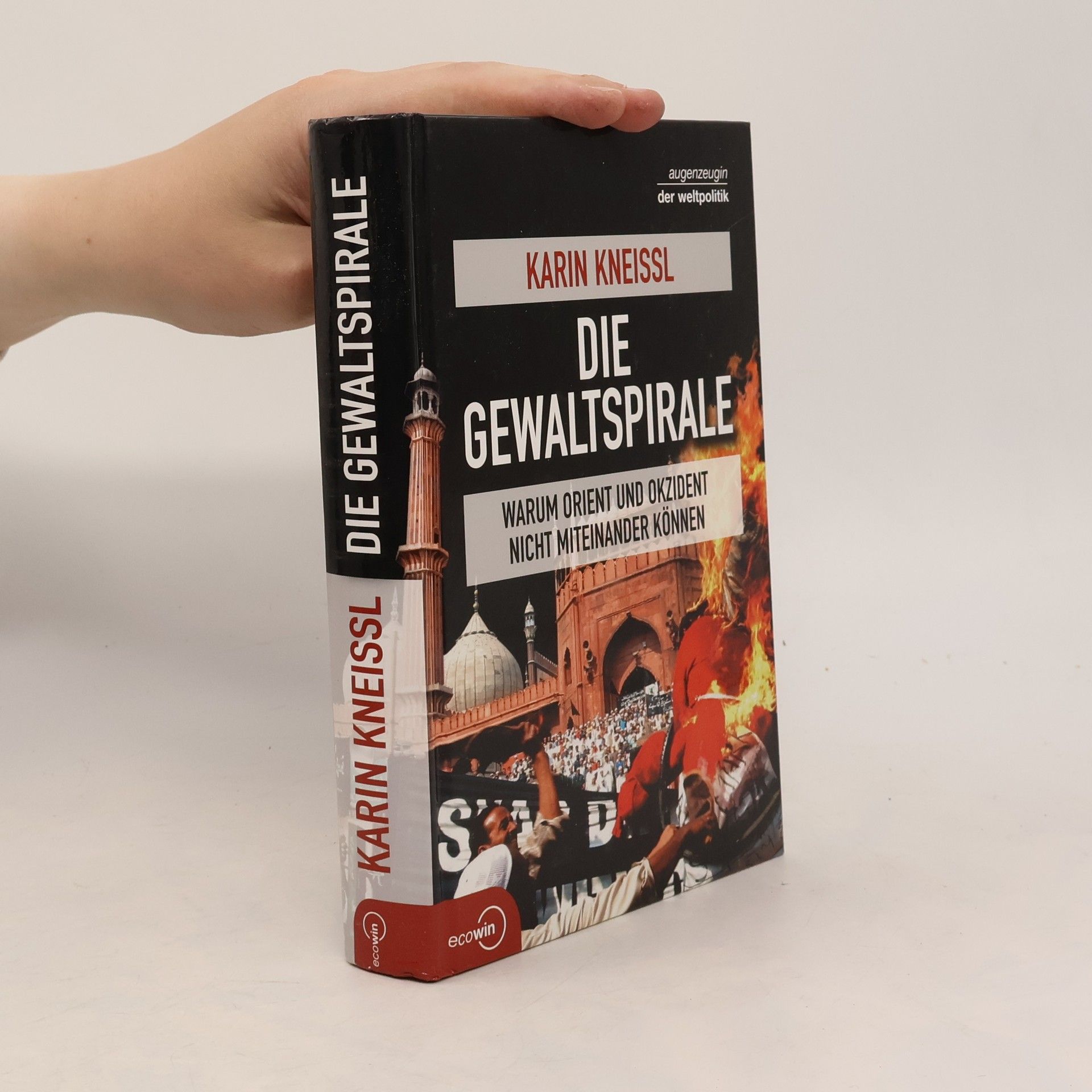 Die Gewaltspirale