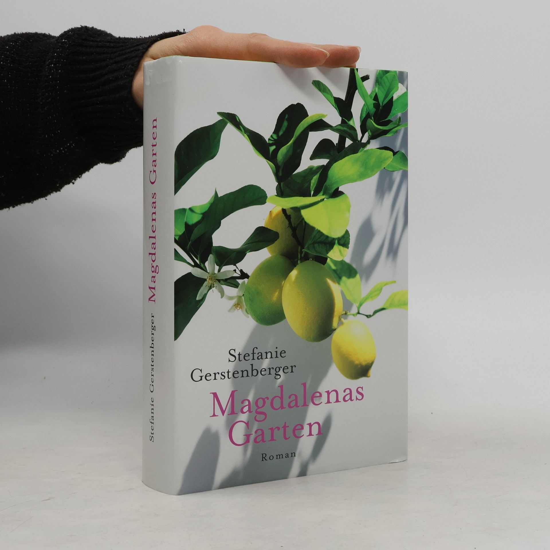 Stefanie Gerstenberger Magdalenas Garten