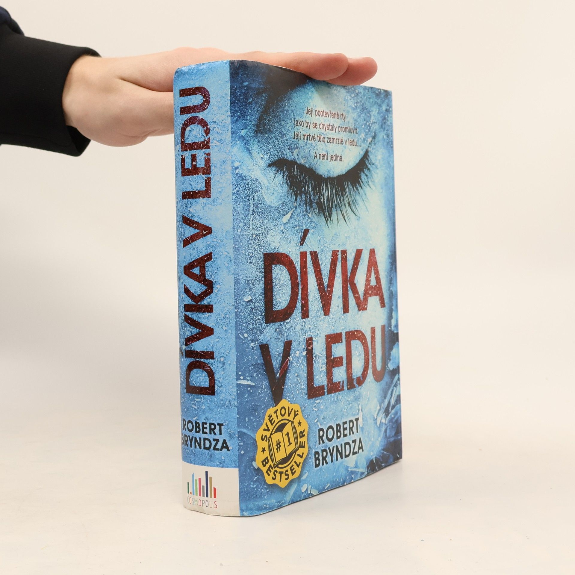 Robert Bryndza Dívka v ledu