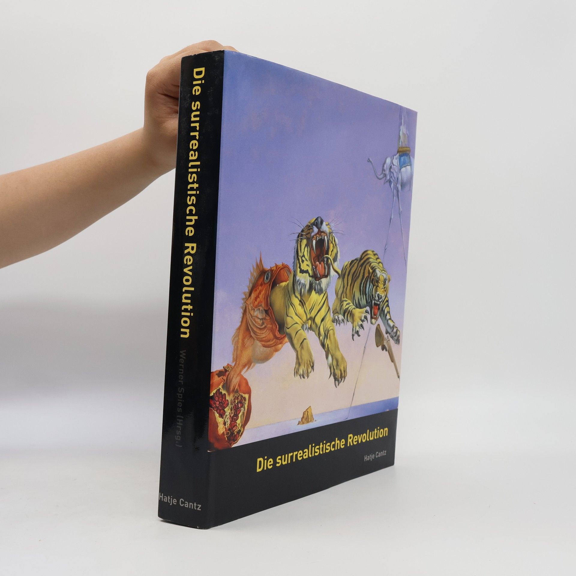 Werner Spies Die surrealistische Revolution
