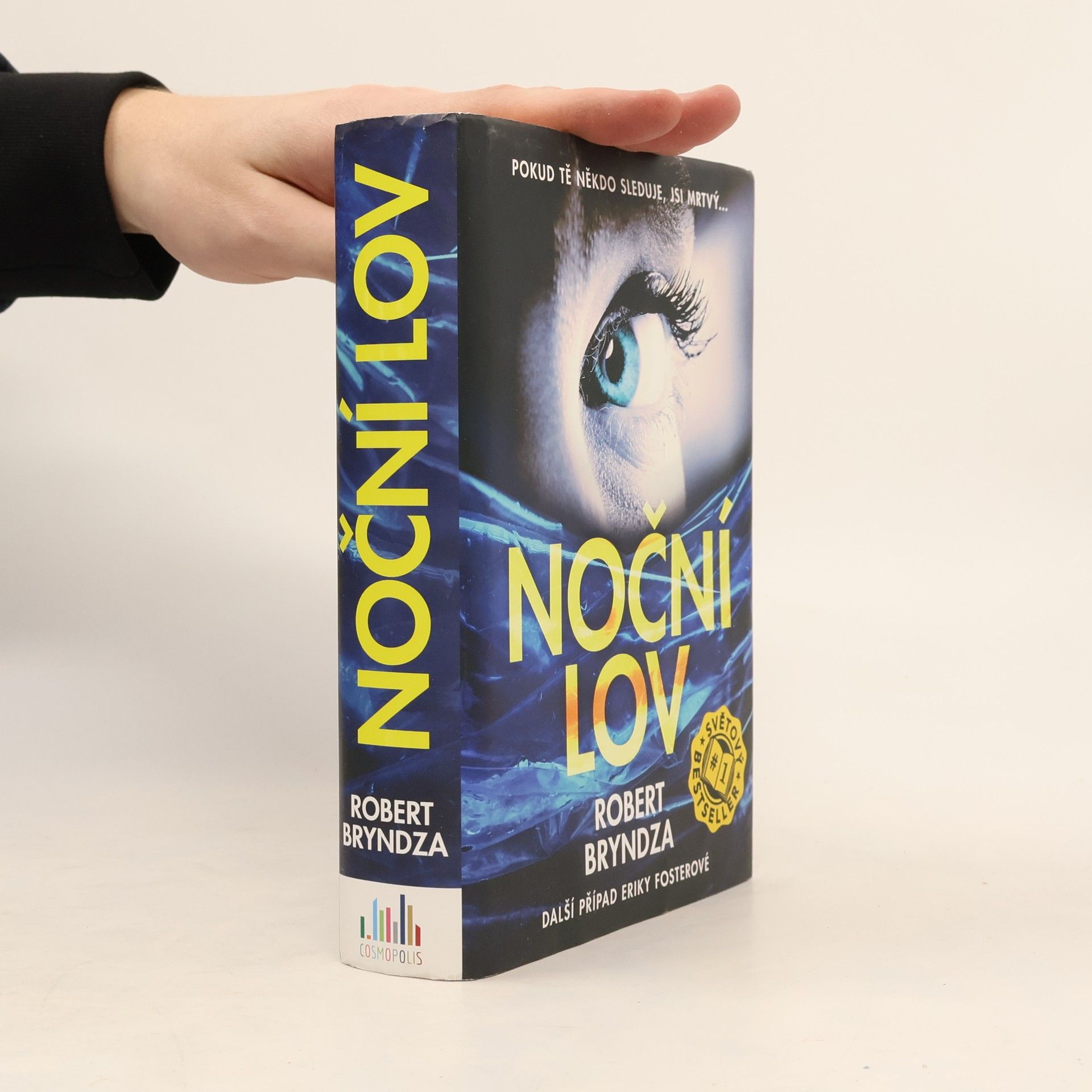 Robert Bryndza Noční lov
