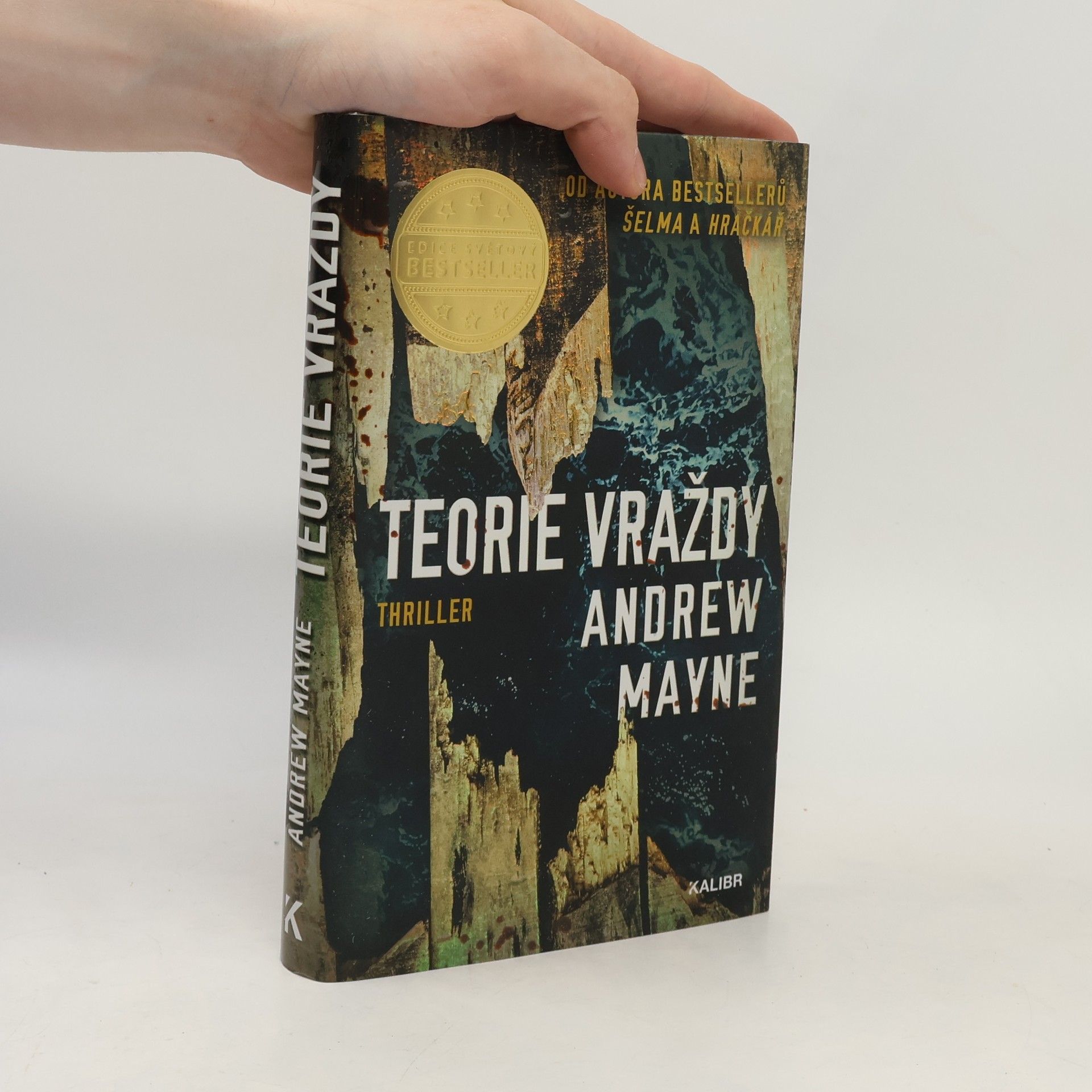 Andrew Mayne Teorie vraždy
