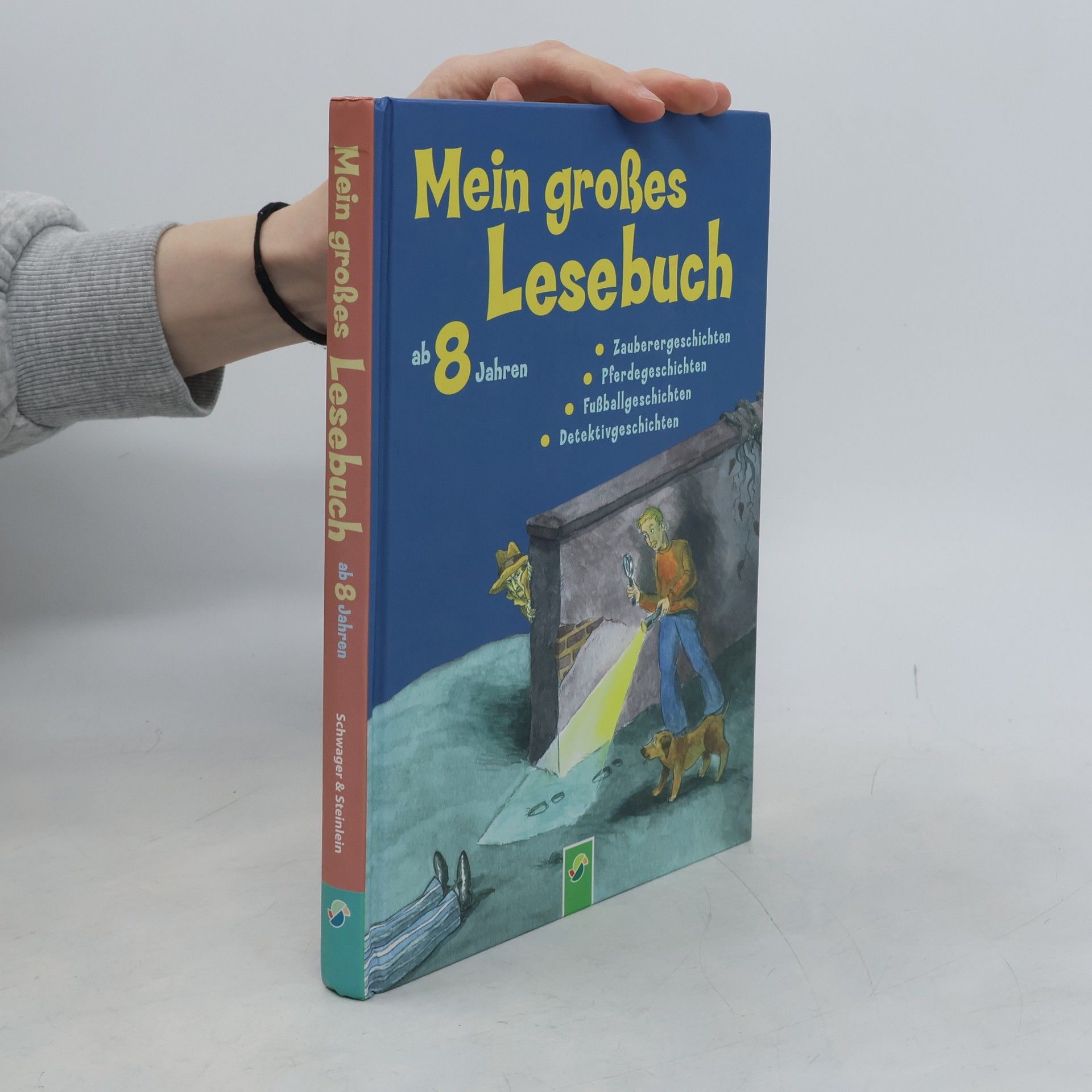 Mein großes Lesebuch ab 8 Jahren
