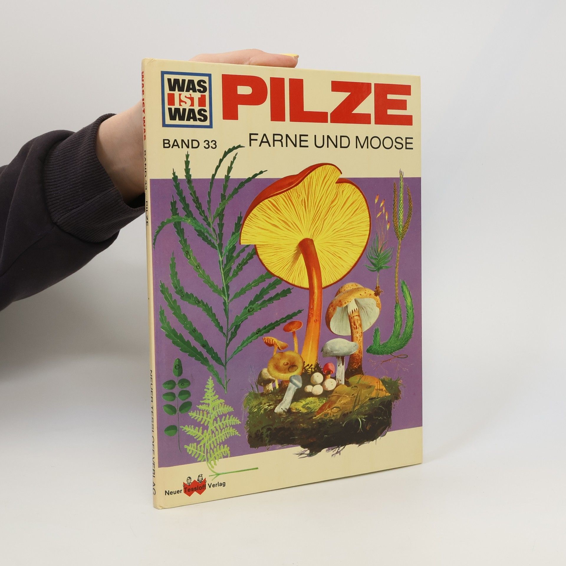 Pilze, Moose und Farne