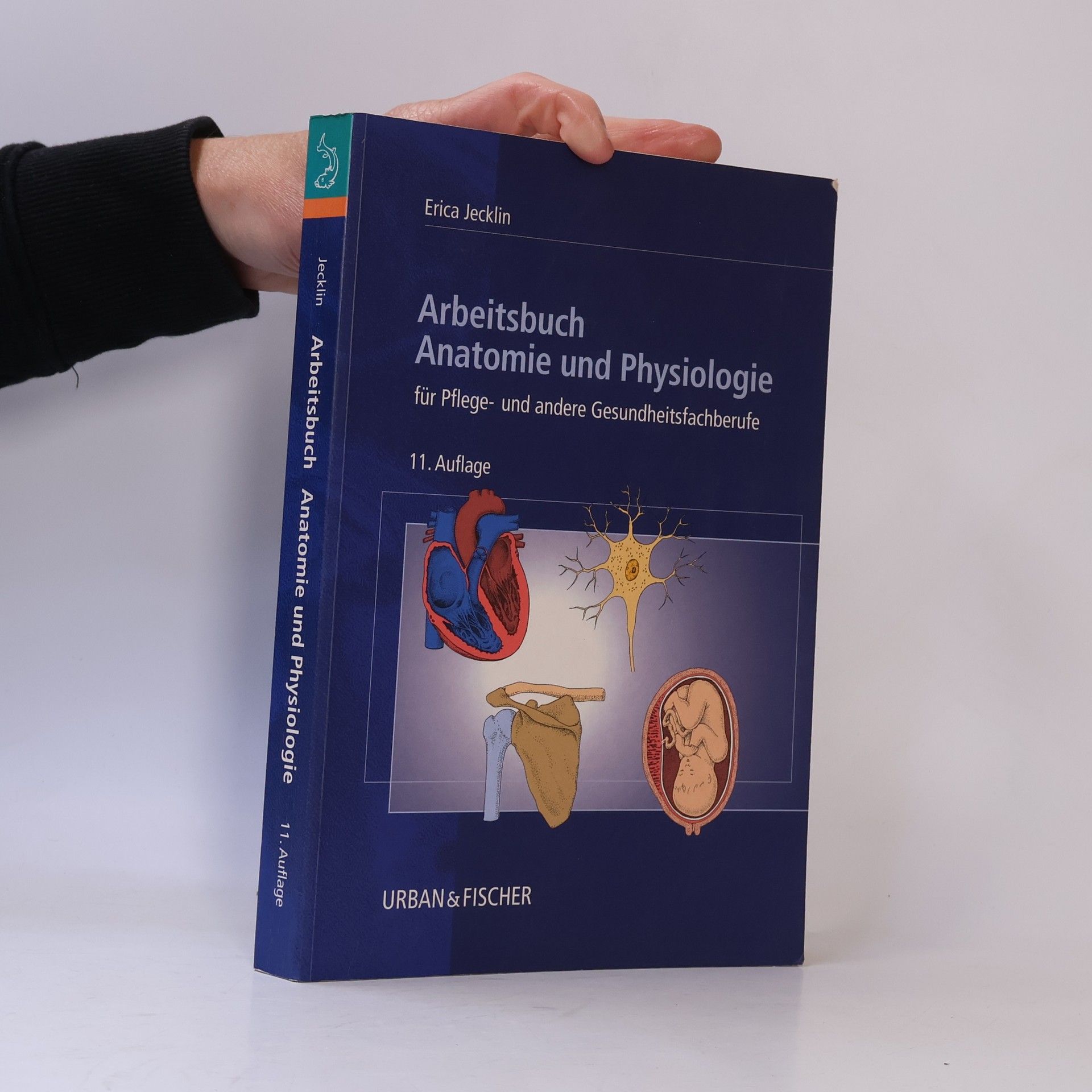 Erica Brühlmann-Jecklin Arbeitsbuch Anatomie und Physiologie für Pflege- und andere Gesundheitsfachberufe