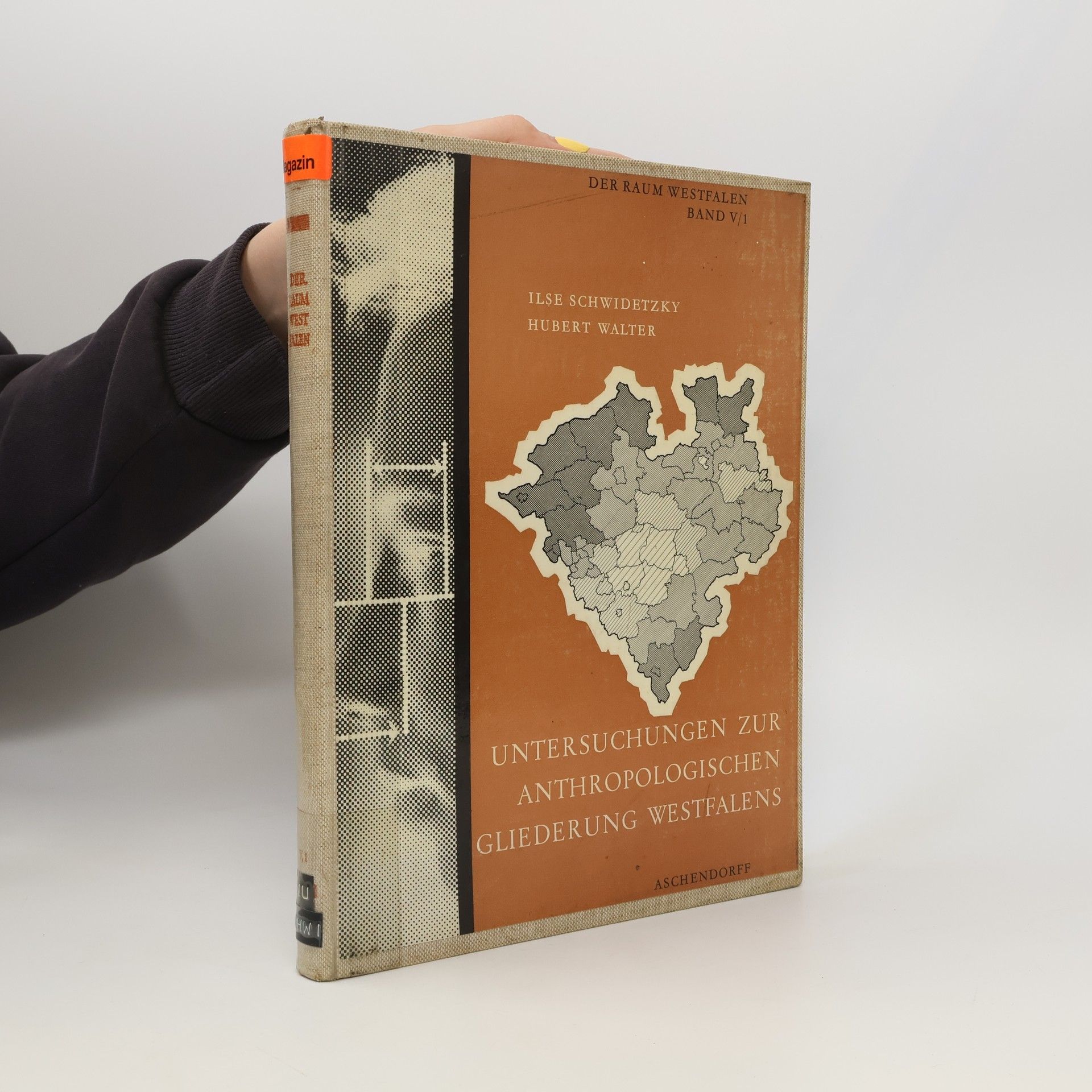 Hubert Walter Untersuchungen zur anthropologischen Gliederung Westfalens