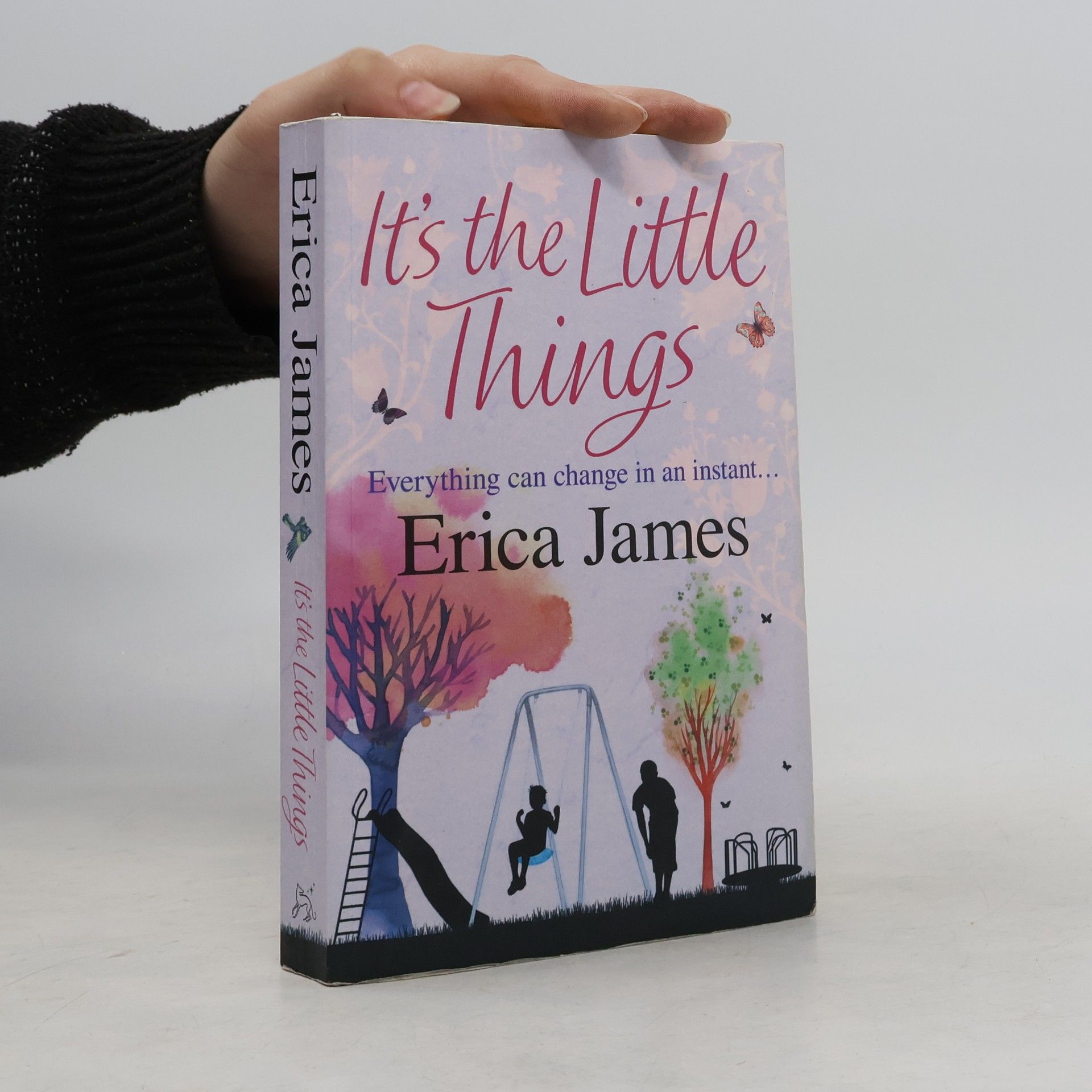 Erica James It's the Little Things