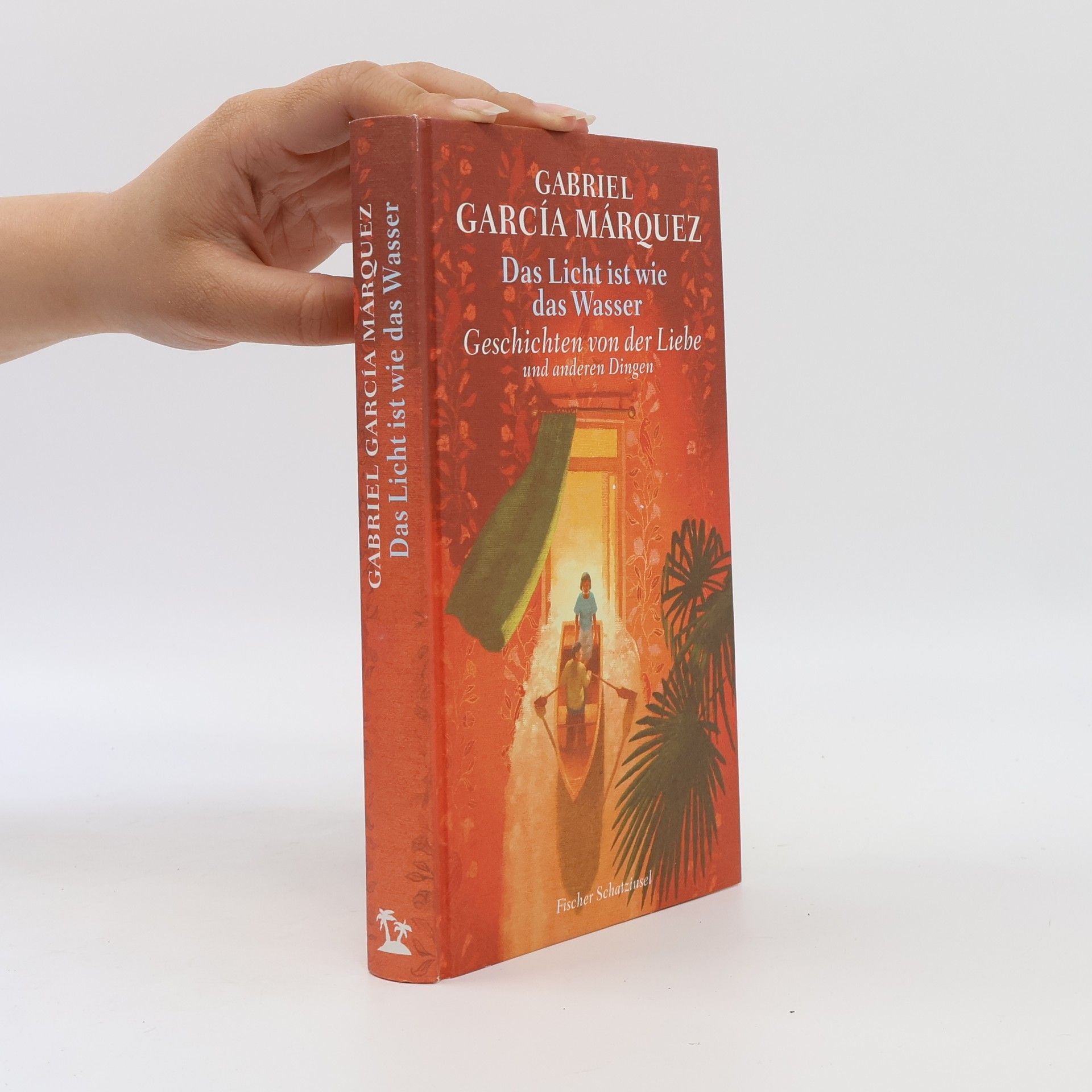 Gabriel García Márquez Das Licht ist wie das Wasser