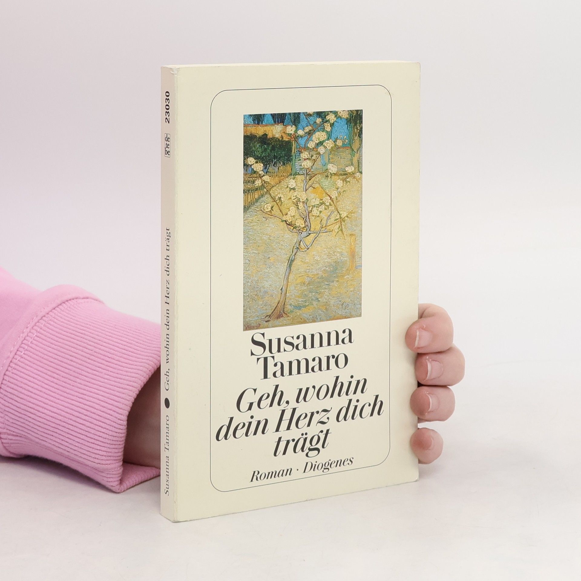 Susanna Tamaro Geh, wohin dein Herz dich trägt