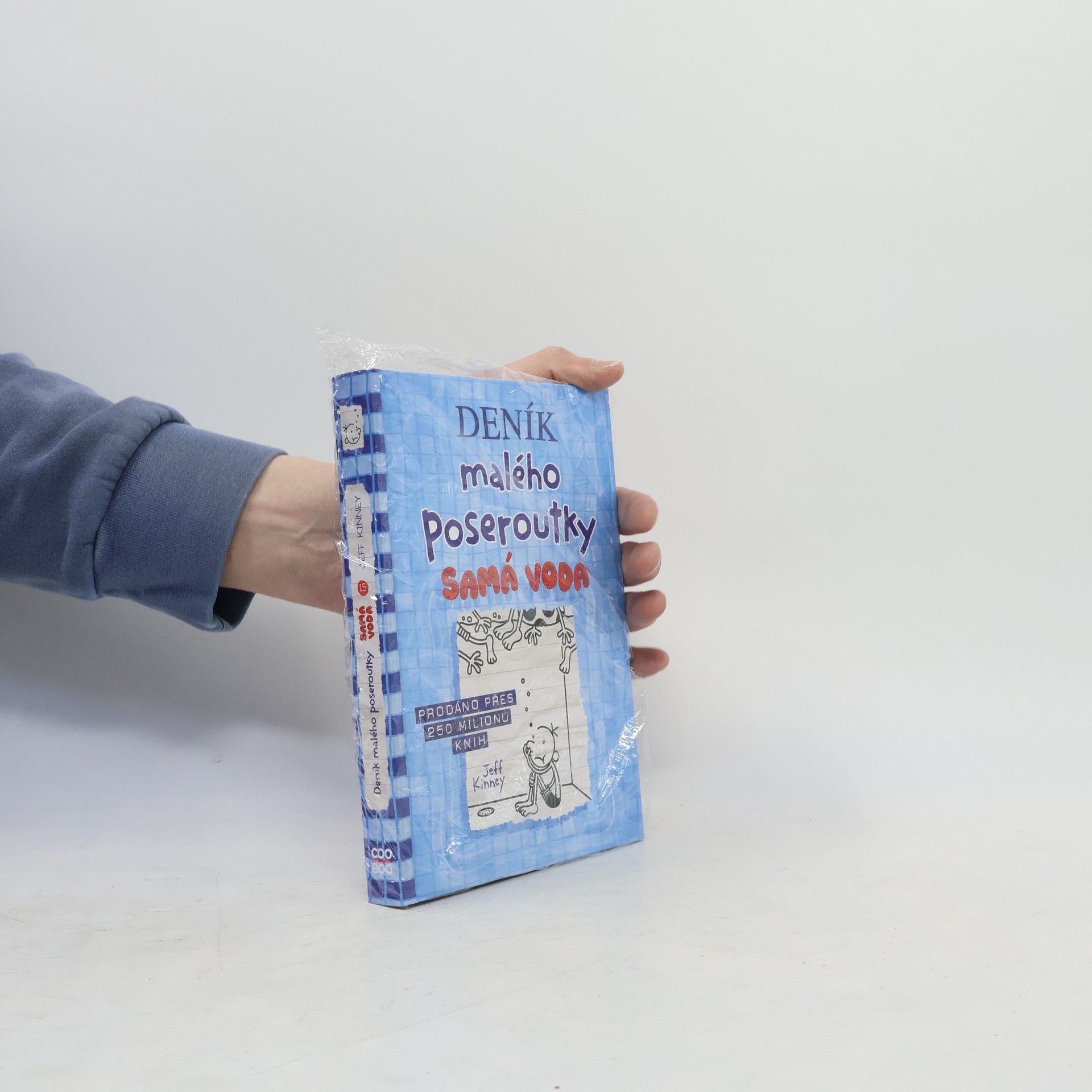 Jeff Kinney Deník malého poseroutky 15. Samá voda